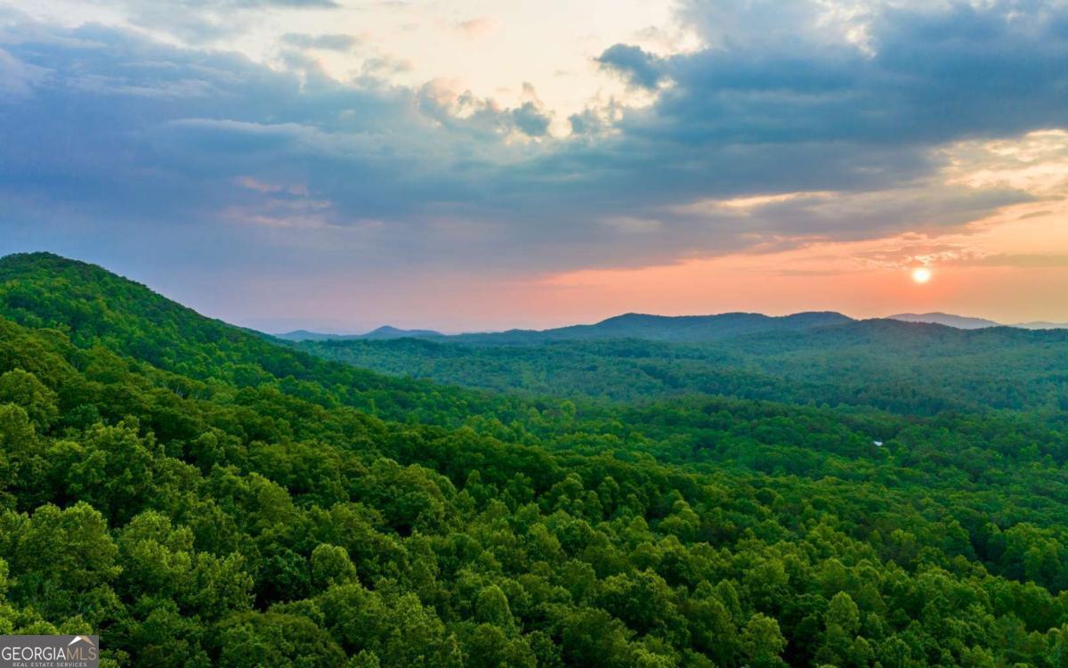 Lot 25 Scouts Overlook Morganton, GA 30560 - Photo 6 of 8 a view of a bunch of trees in a field