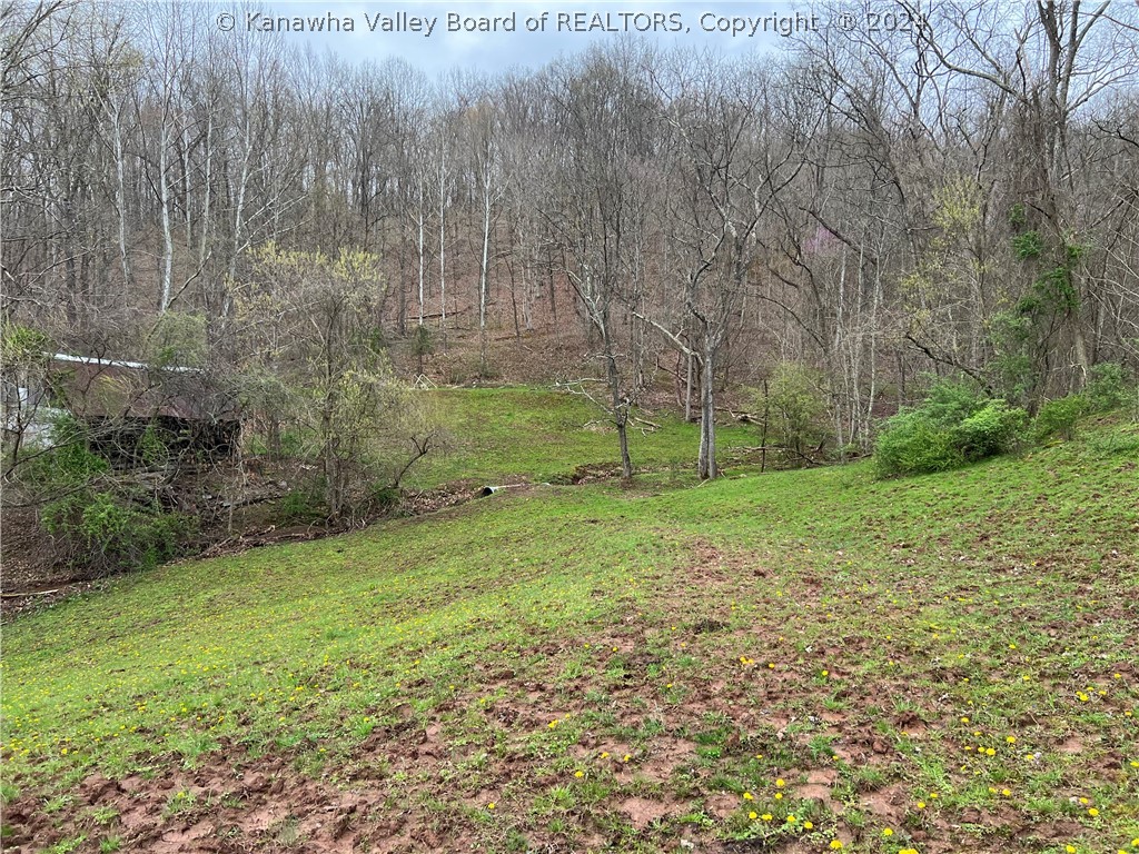 4400 Skull Run Road Ravenswood, WV 26164 - Photo 6 of 44 Gallery Image 6