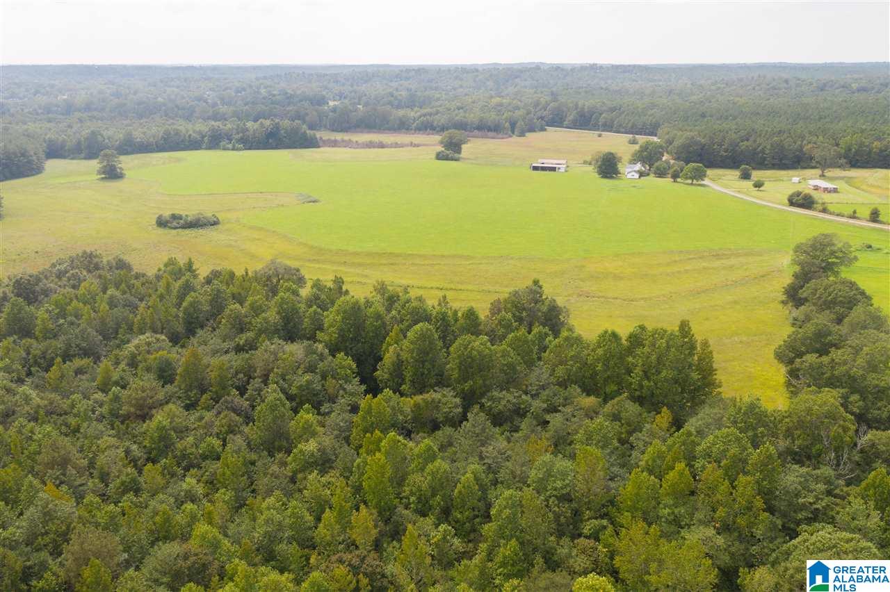 205 County Road 3 Reform, AL 35481 - Photo 25 of 46