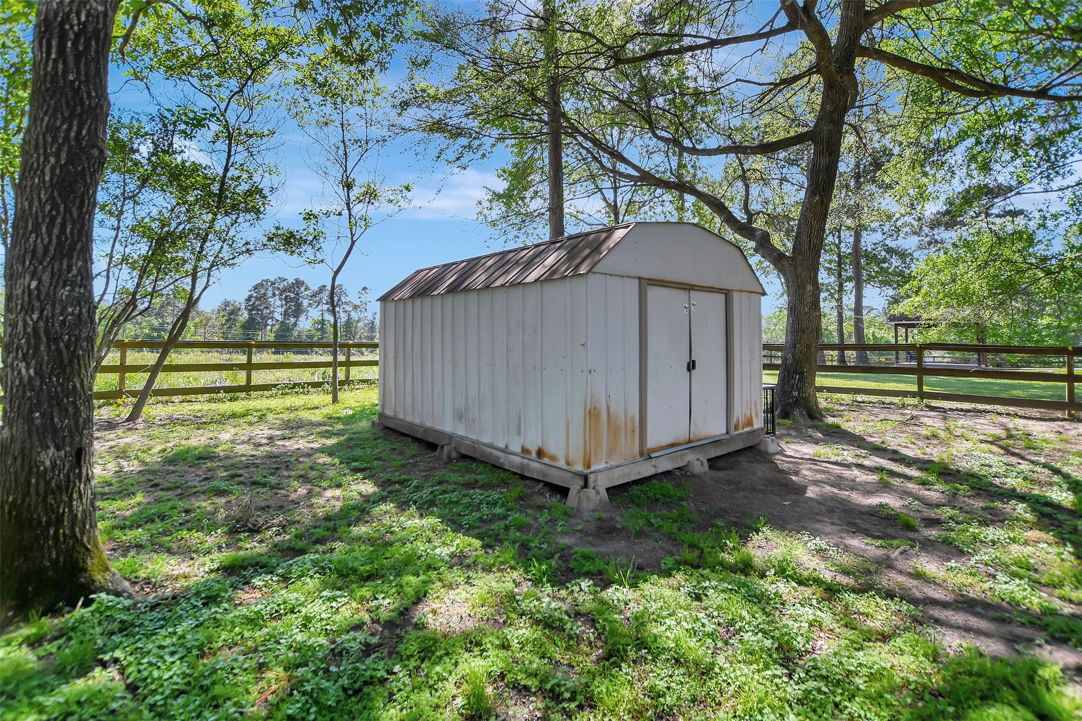 25401 Hunting Trail Magnolia, TX 77355 - Photo 39 of 42 a view of backyard with green space