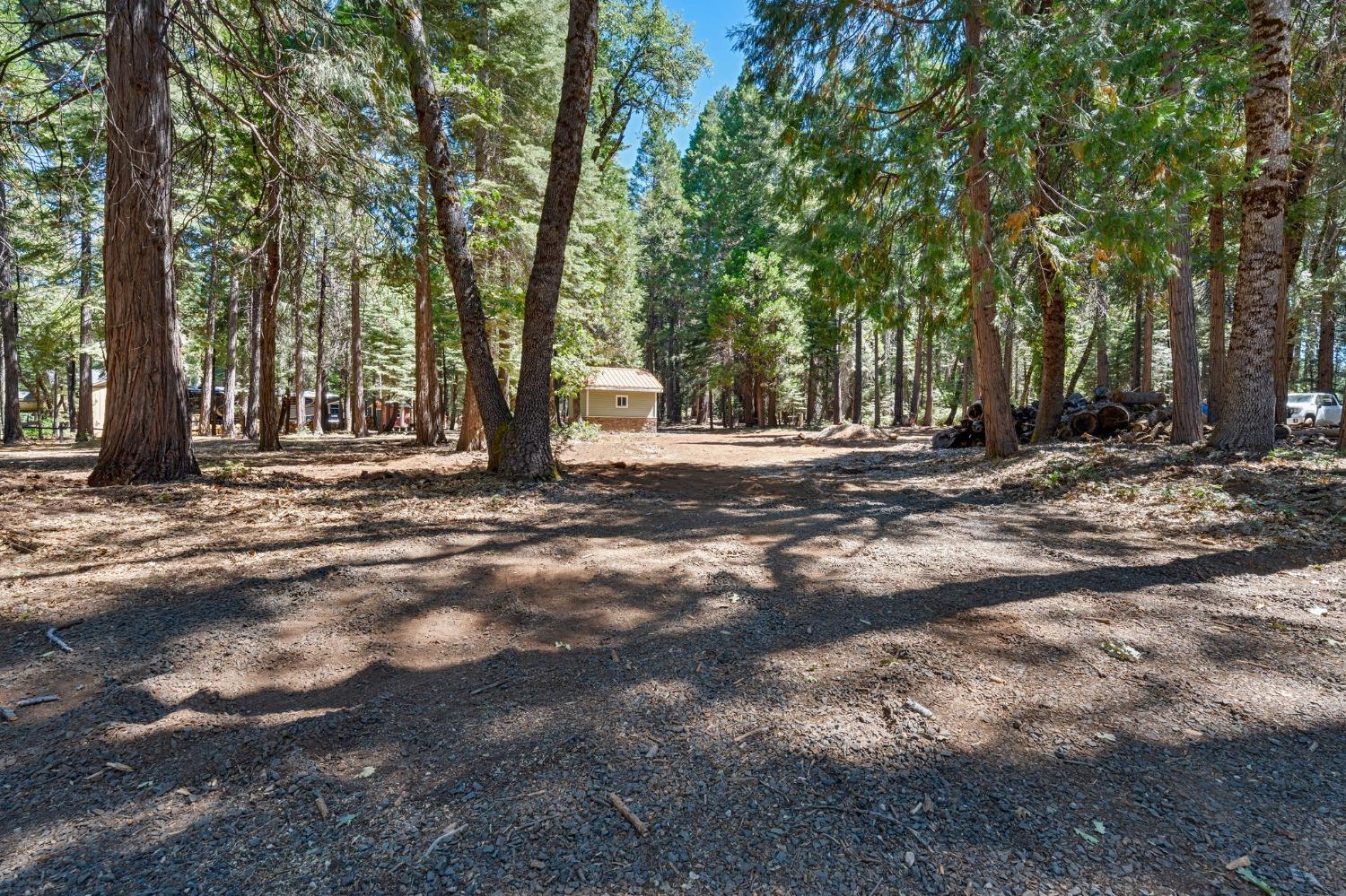 740 Hideaway Loop Alta, CA 95701 - Photo 46 of 74 a view of road with trees