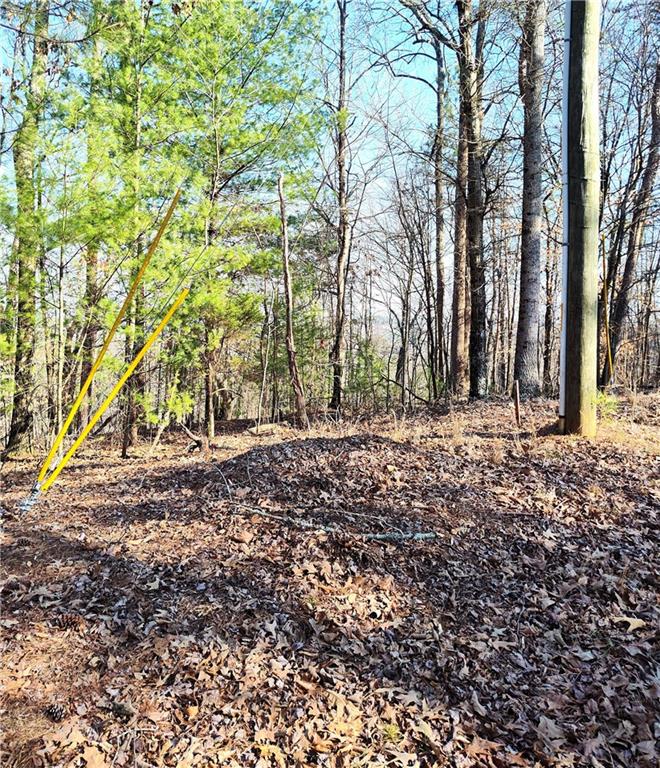 1698 Shade Tree Drive Talking Rock, GA 30175 - Photo 1 of 9