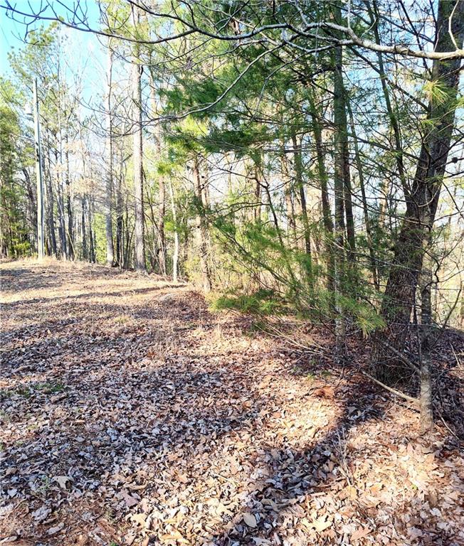 1698 Shade Tree Drive Talking Rock, GA 30175 - Photo 2 of 9