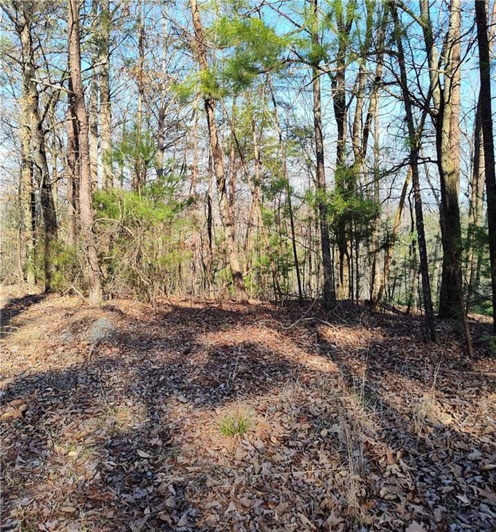 1698 Shade Tree Drive Talking Rock, GA 30175 - Photo 3 of 9
