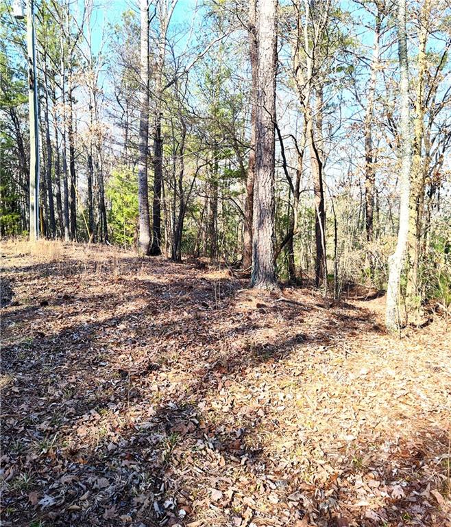 1698 Shade Tree Drive Talking Rock, GA 30175 - Photo 4 of 9