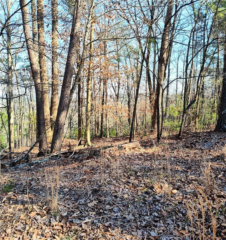 1698 Shade Tree Drive Talking Rock, GA 30175 - Photo 6 of 9