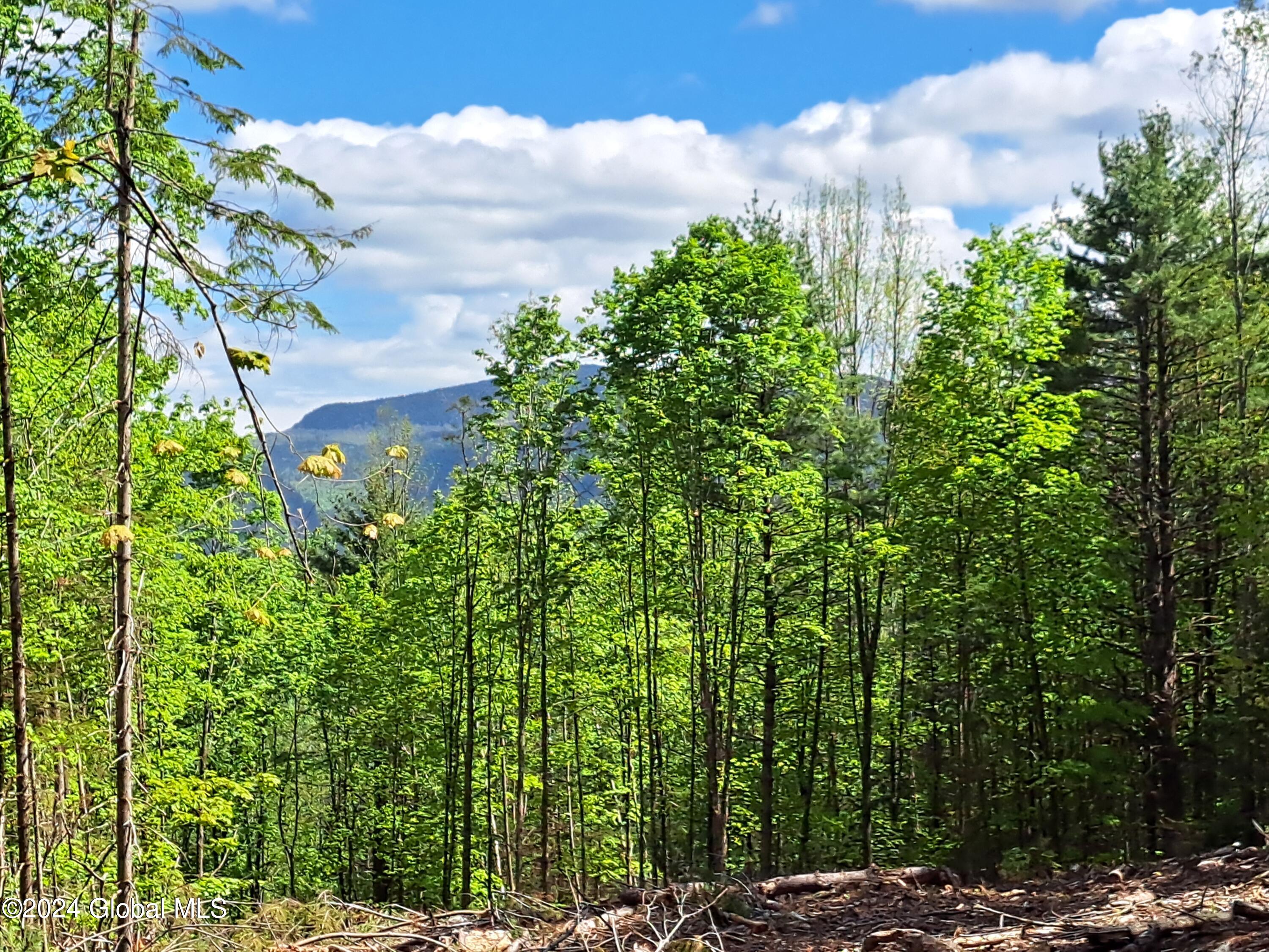 51 Barney Hill Road Johnsburg, NY 12843 - Photo 101 of 108 101 Potential View of Crane Mountain