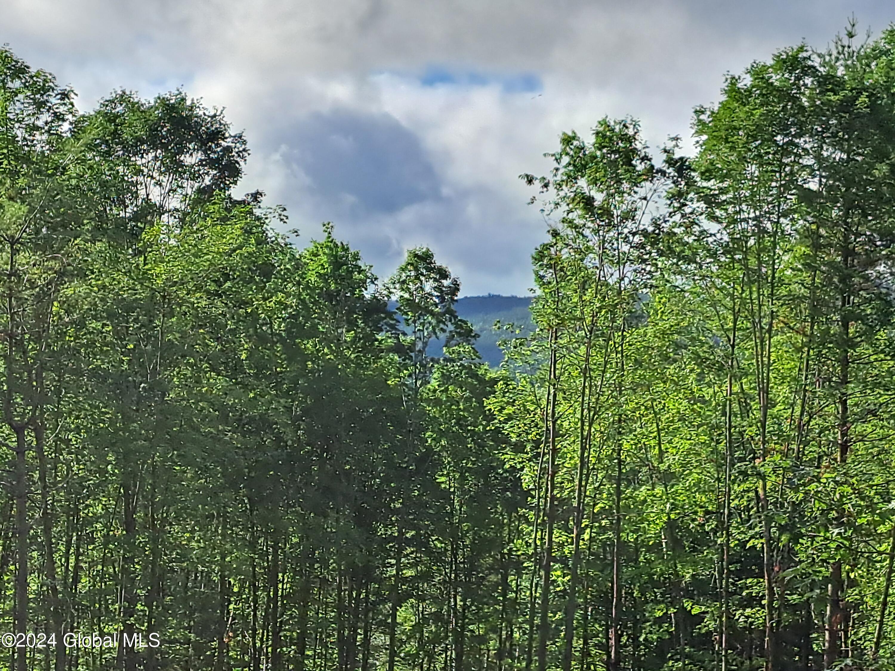 51 Barney Hill Road Johnsburg, NY 12843 - Photo 103 of 108 103 Another Possible View