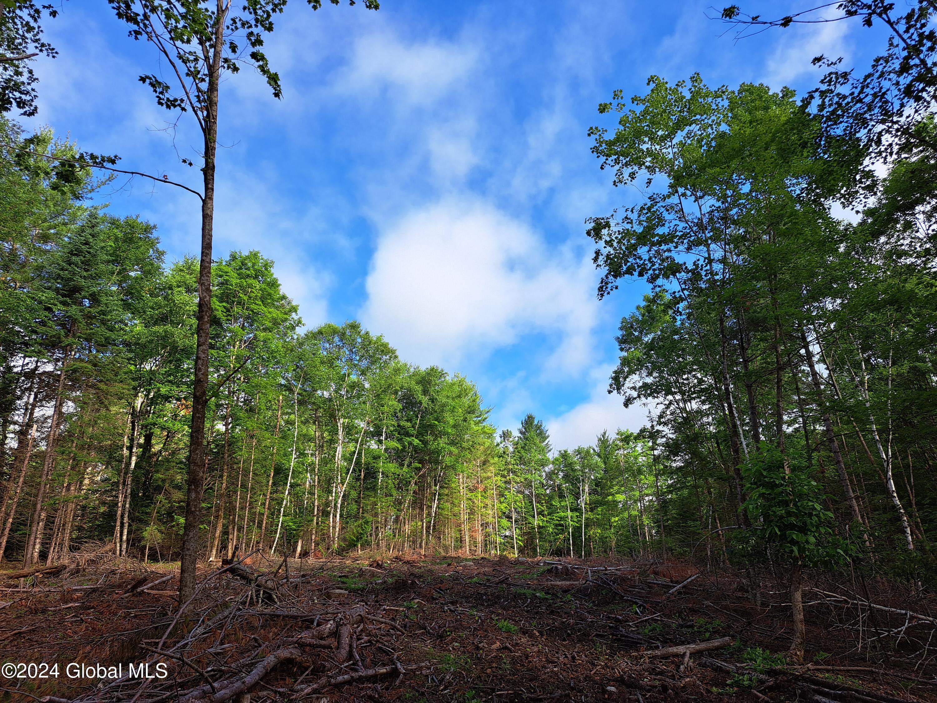 51 Barney Hill Road Johnsburg, NY 12843 - Photo 104 of 108 104 Clearing in the Woods