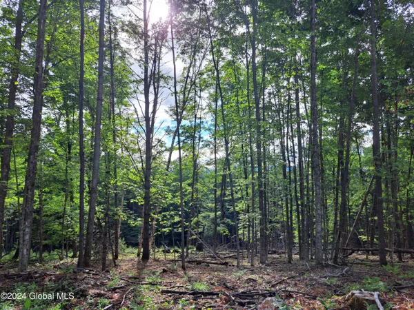 $699,900 | 51 Barney Hill Road, Johnsburg, NY 12843