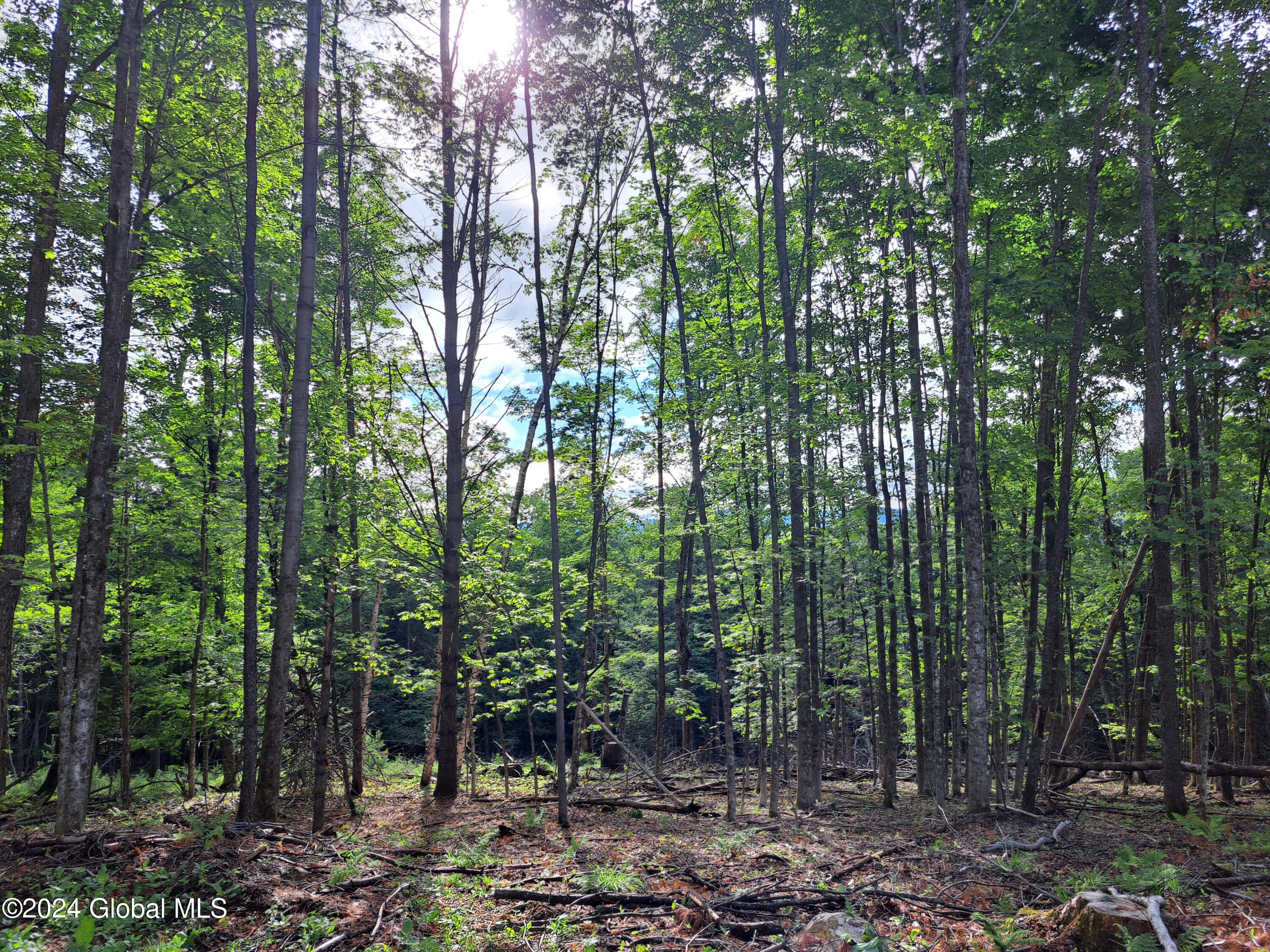 51 Barney Hill Road Johnsburg, NY 12843 - Photo 105 of 108 105 Maple Grove