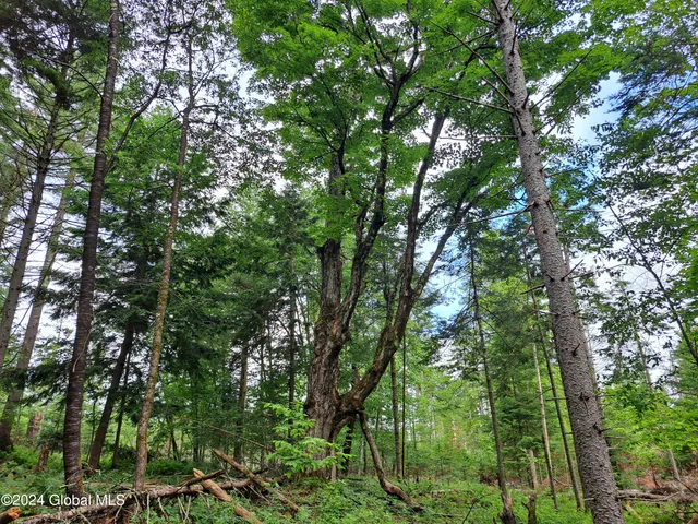 $749,900 | 51 Barney Hill Road, Johnsburg, NY 12843