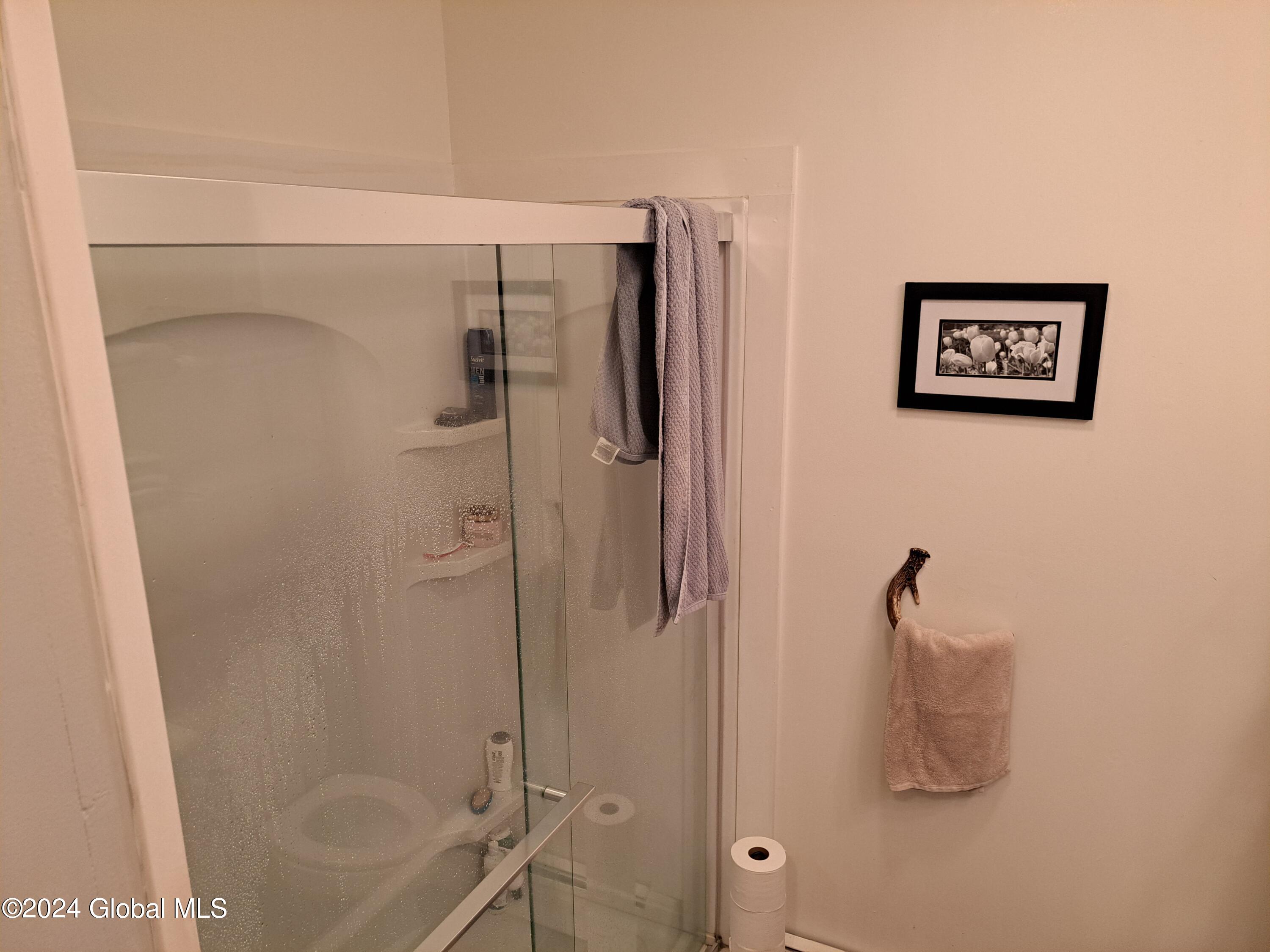 51 Barney Hill Road Johnsburg, NY 12843 - Photo 16 of 108 16 Full Bath