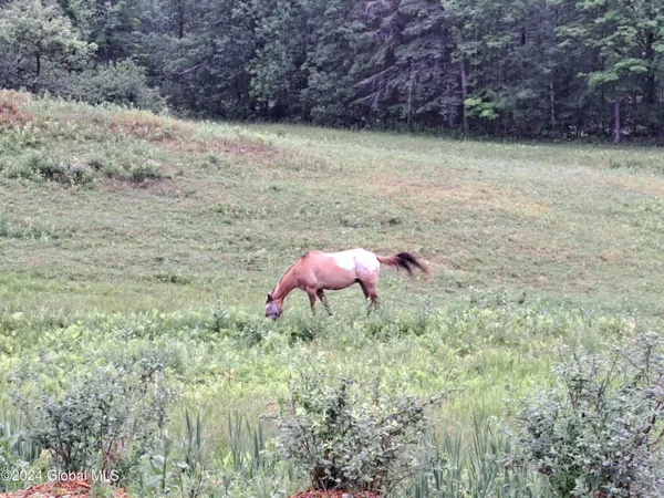 $699,900 | 51 Barney Hill Road, Johnsburg, NY 12843