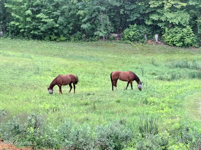 $749,900 | 51 Barney Hill Road, Johnsburg, NY 12843