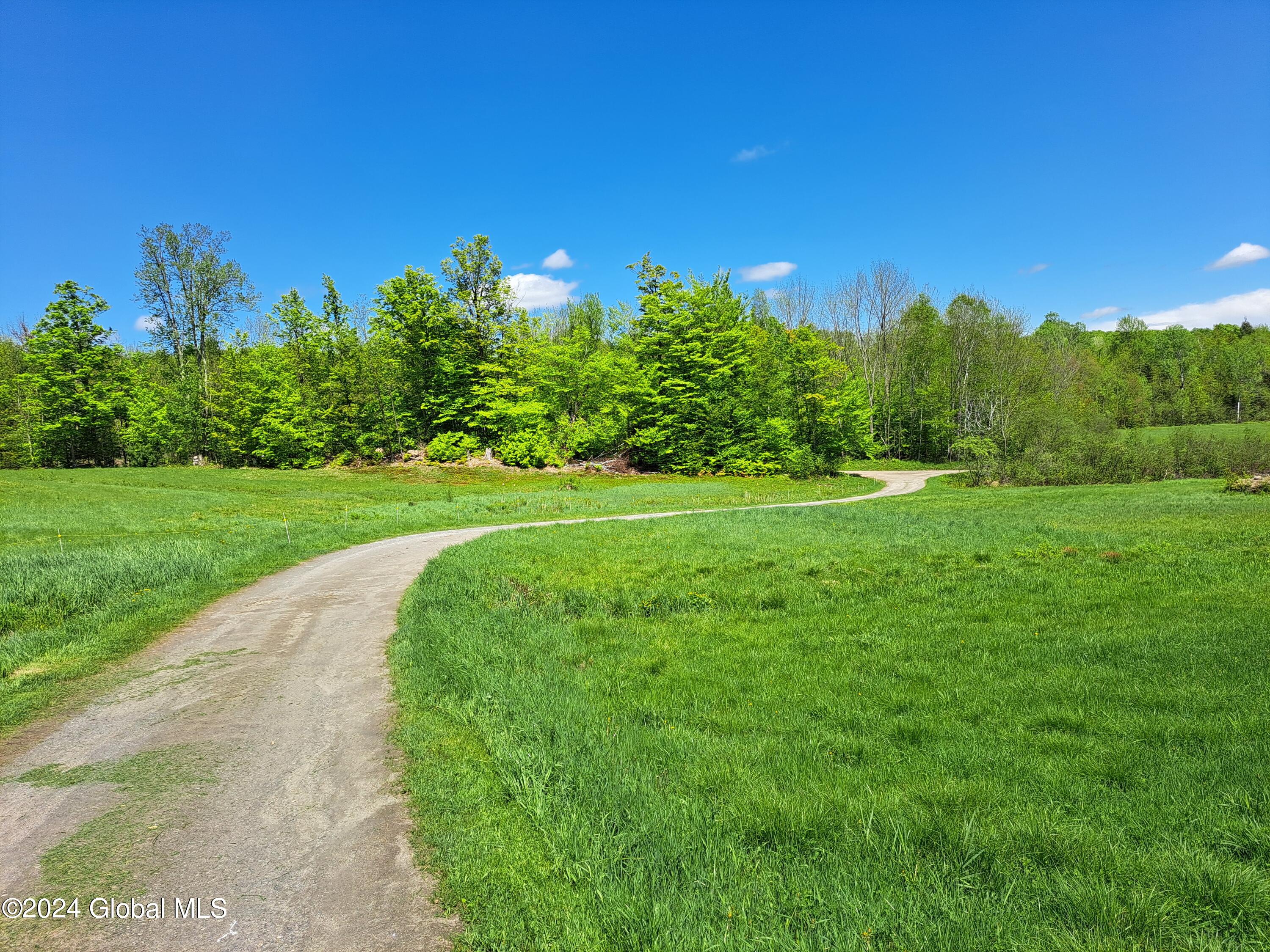 51 Barney Hill Road Johnsburg, NY 12843 - Photo 52 of 108 52 Driveway to Barney Hill Road