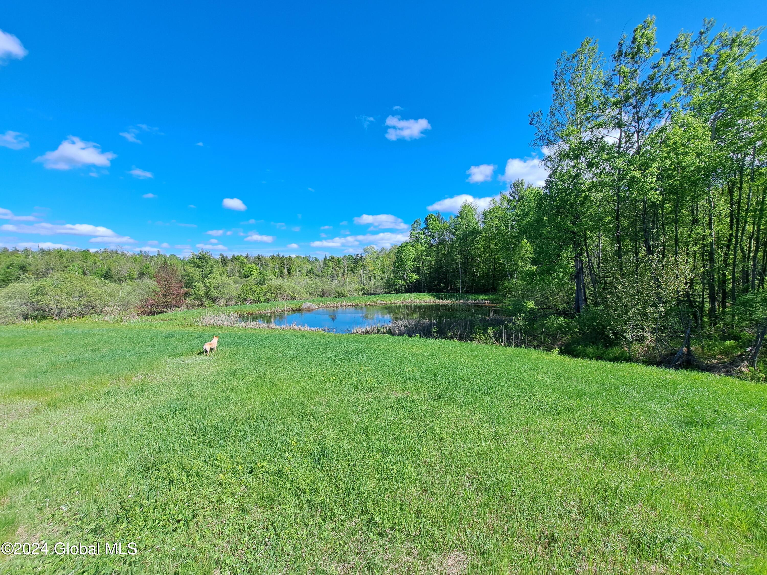 51 Barney Hill Road Johnsburg, NY 12843 - Photo 54 of 108 54 Pond