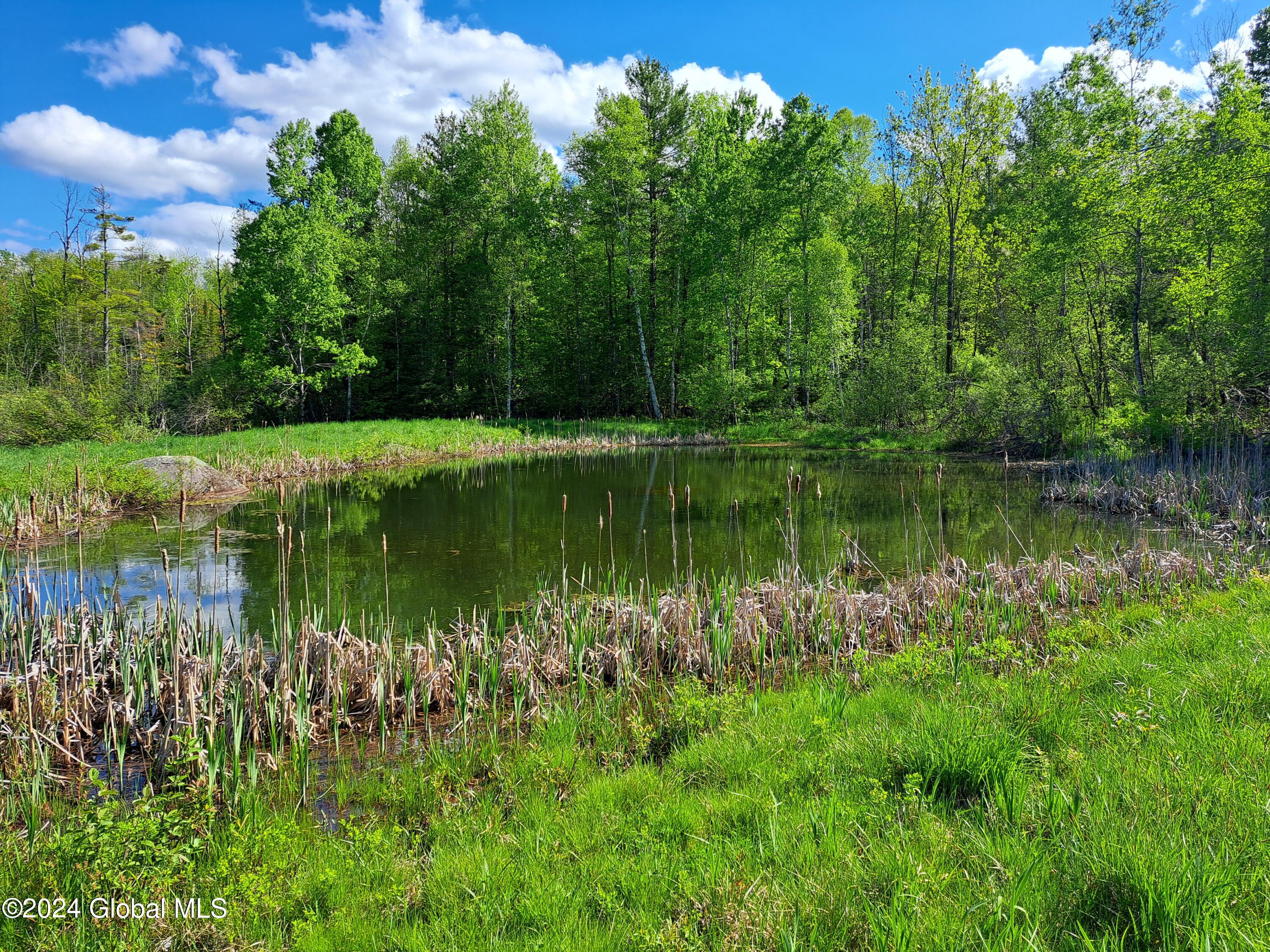 51 Barney Hill Road Johnsburg, NY 12843 - Photo 55 of 108 55 Pond
