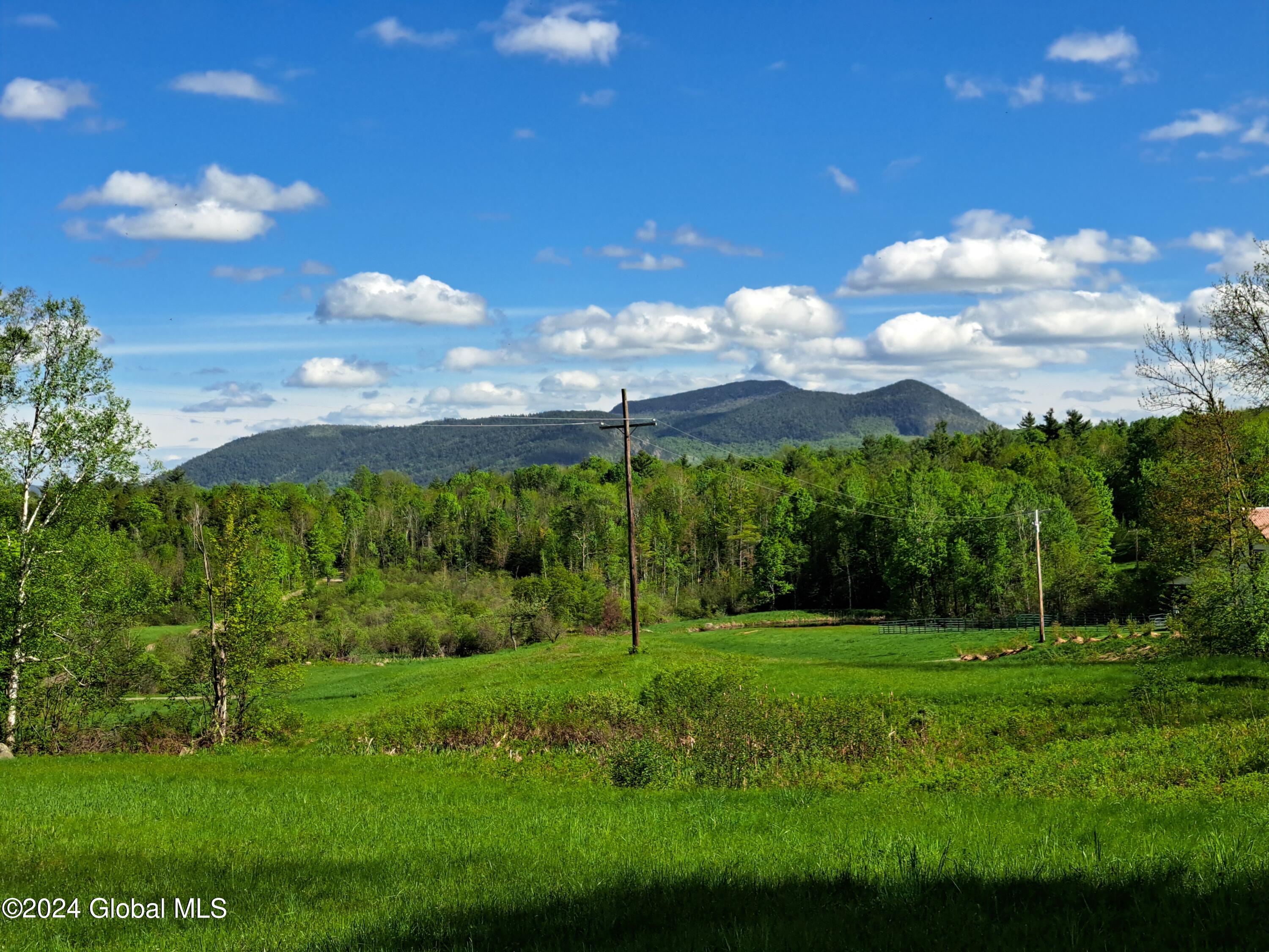 51 Barney Hill Road Johnsburg, NY 12843 - Photo 56 of 108 56 Pasture and Crane Mountain