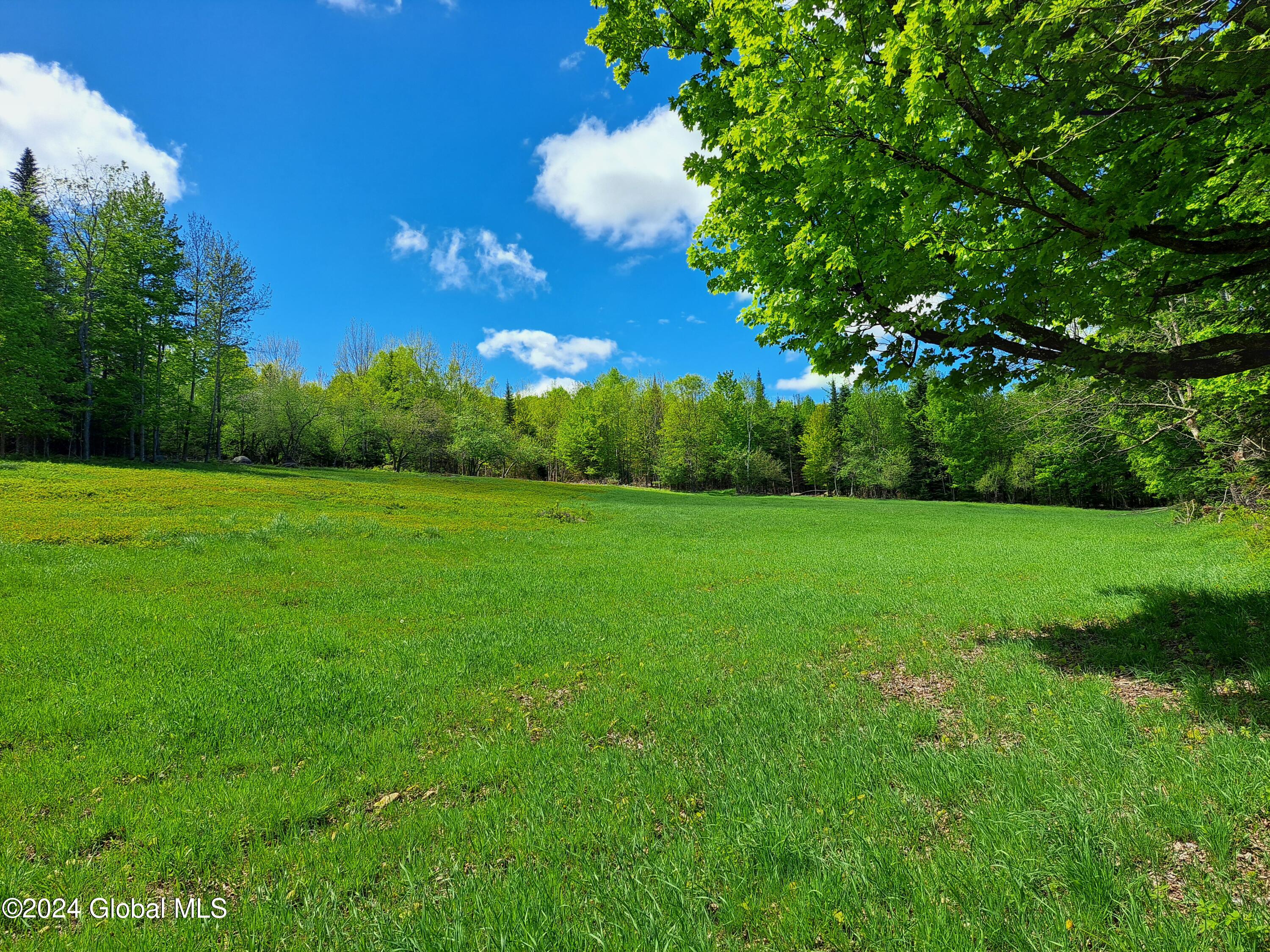 51 Barney Hill Road Johnsburg, NY 12843 - Photo 59 of 108 59 Upper Pasture