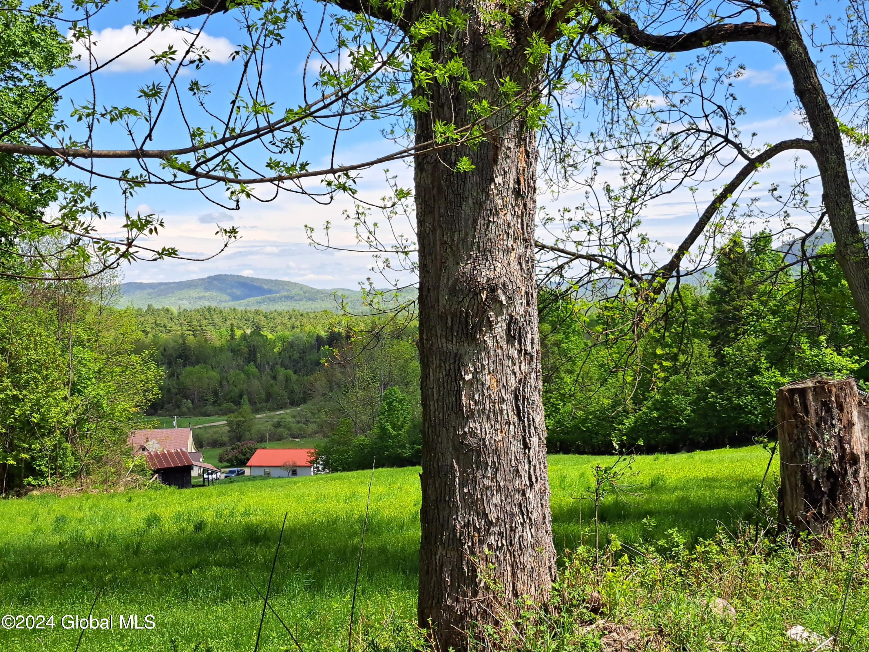 51 Barney Hill Road Johnsburg, NY 12843 - Photo 60 of 108 60 Hedgerow Tree in Upper Pasture