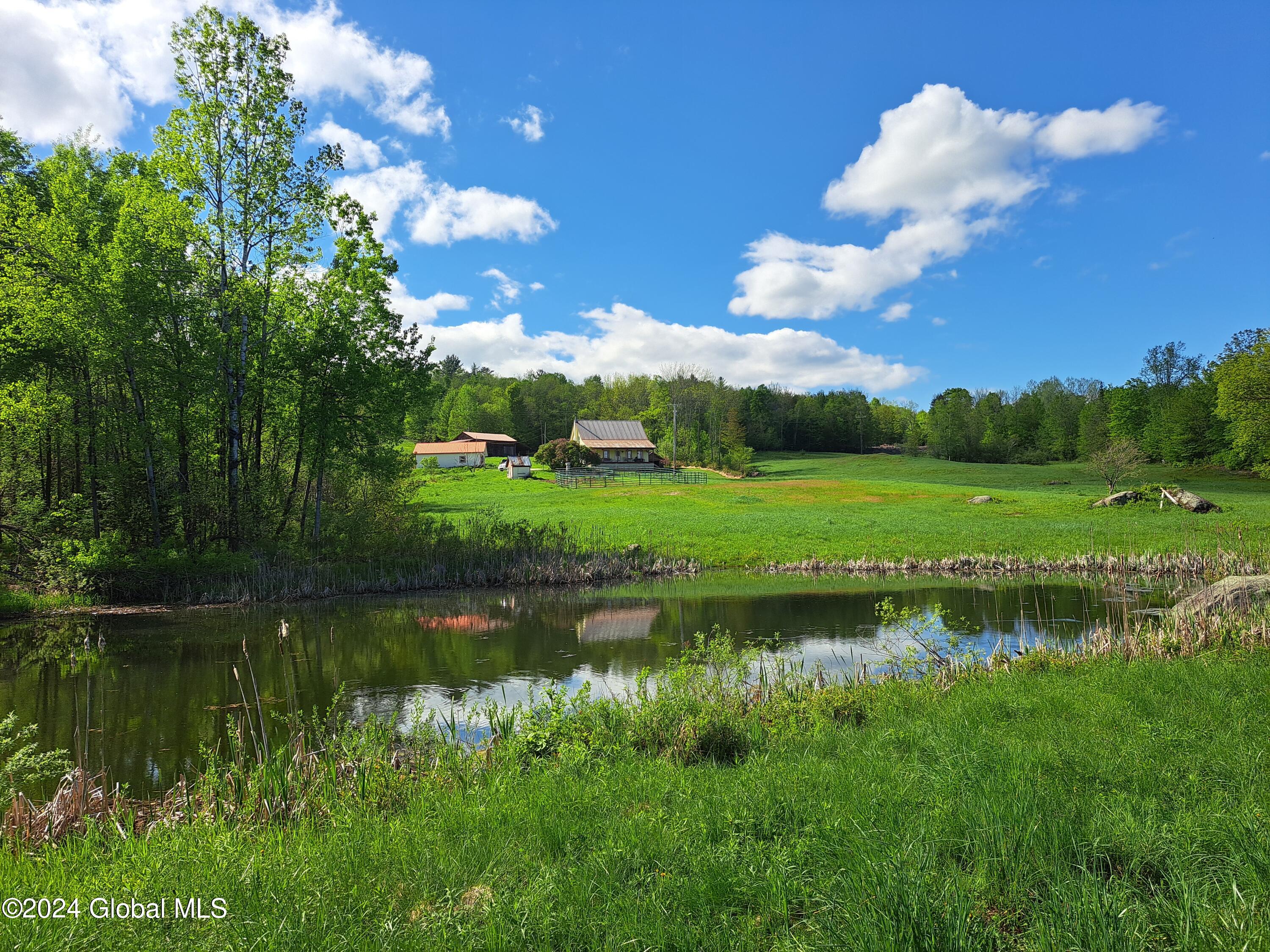 51 Barney Hill Road Johnsburg, NY 12843 - Photo 6 of 108 06 Homesite from Pond