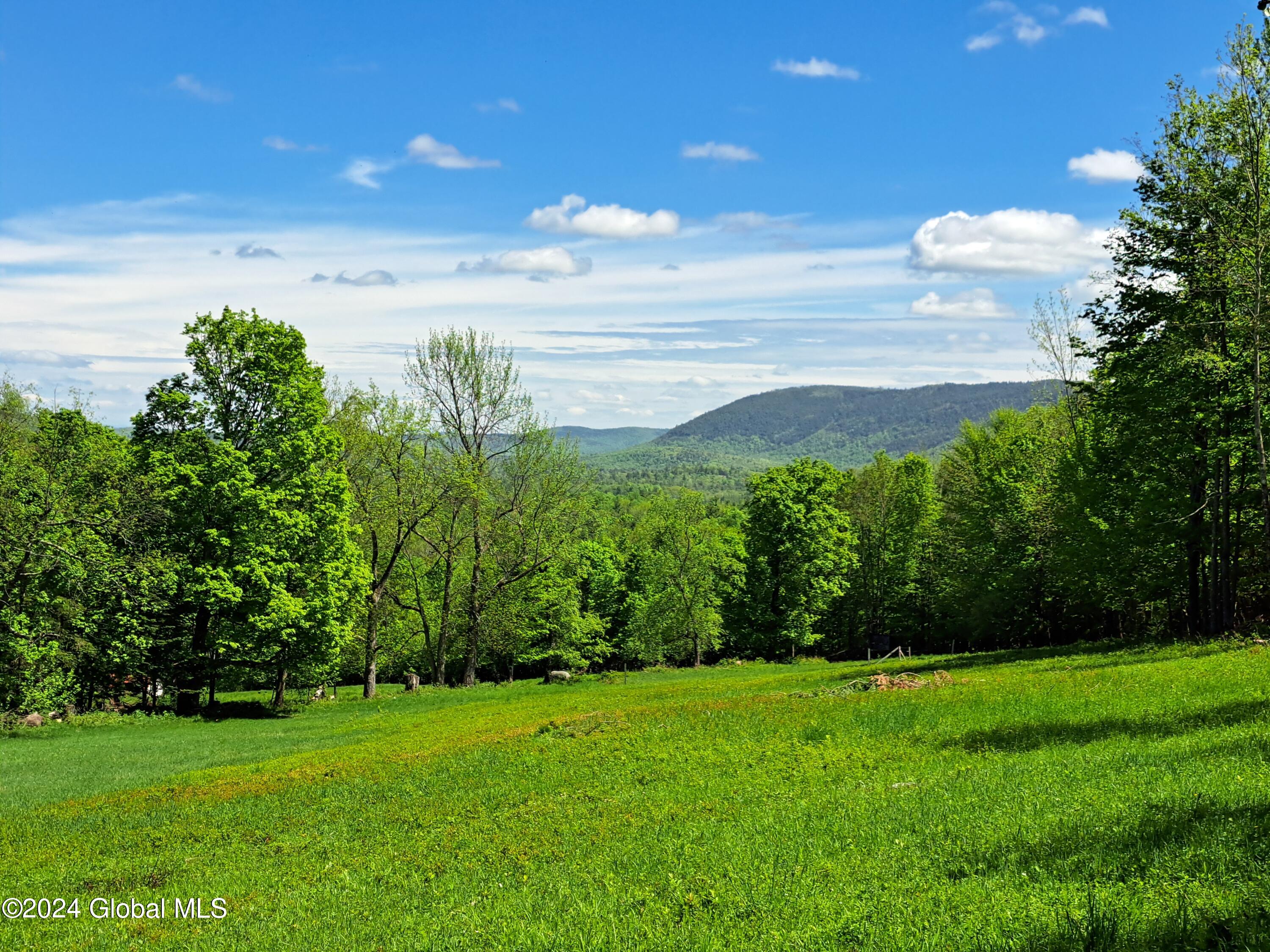 51 Barney Hill Road Johnsburg, NY 12843 - Photo 61 of 108 61 Long-Distance View