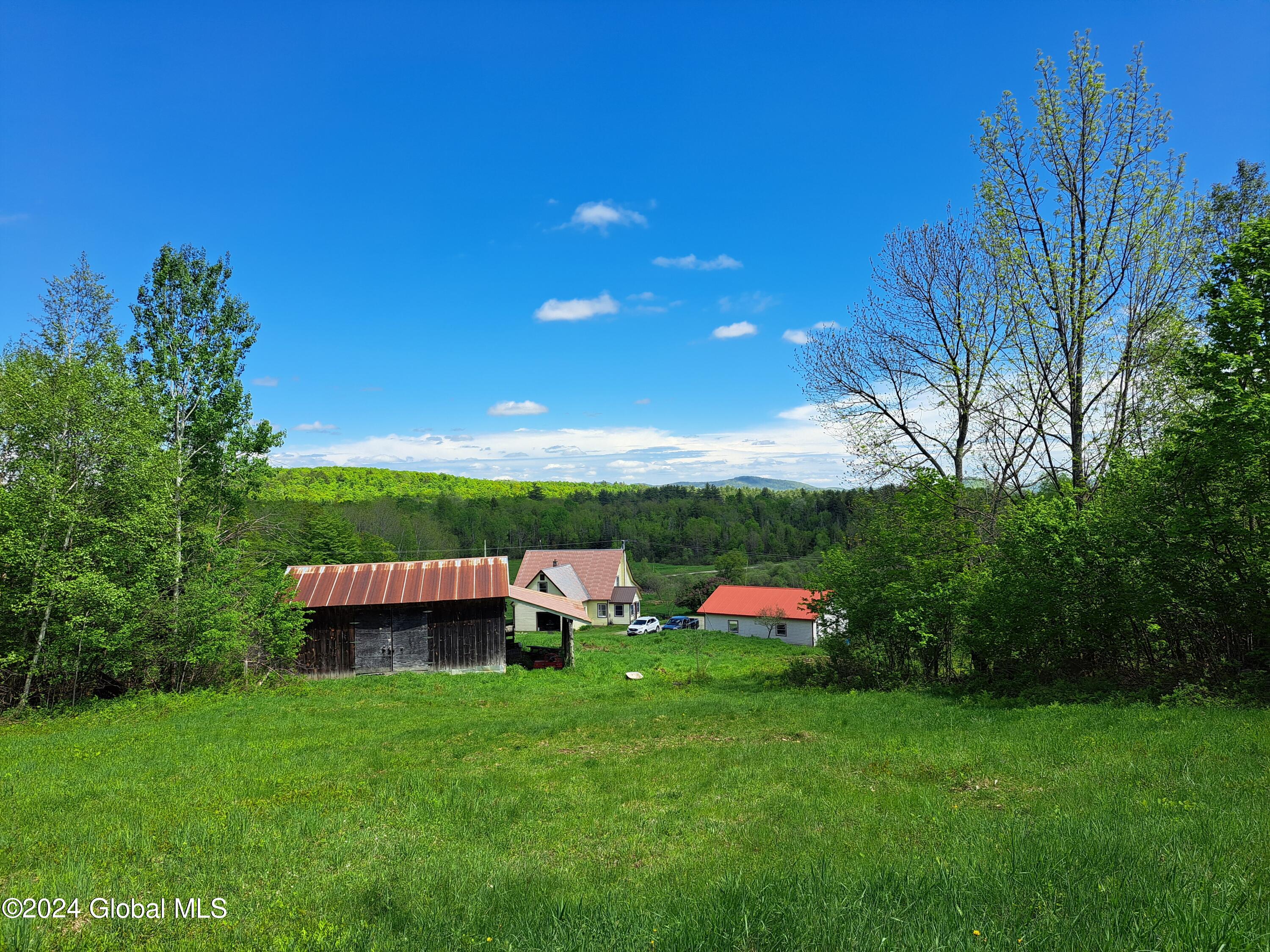 51 Barney Hill Road Johnsburg, NY 12843 - Photo 62 of 108 62 Upper Pasture