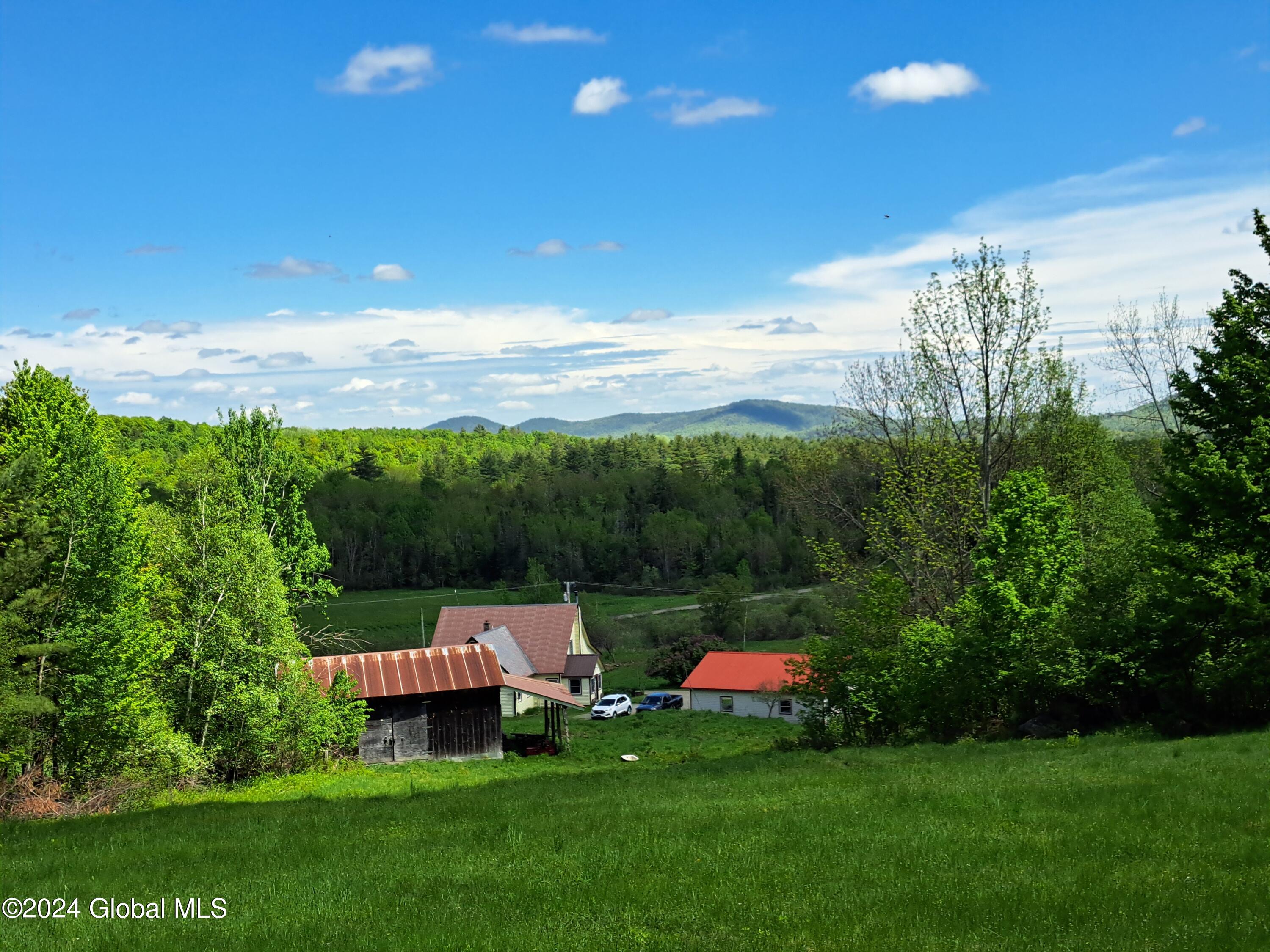 51 Barney Hill Road Johnsburg, NY 12843 - Photo 63 of 108 63 Upper Pasture