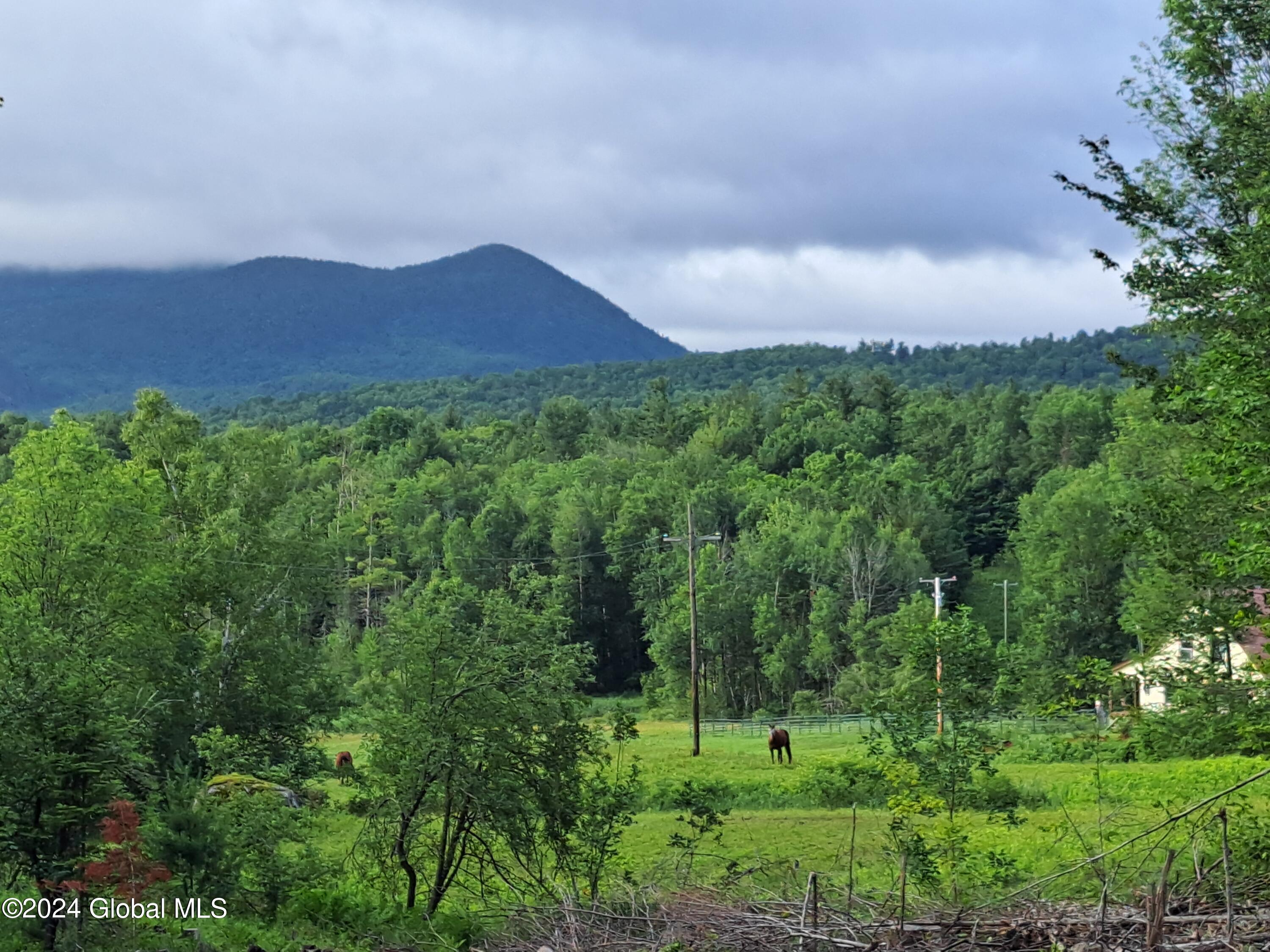 51 Barney Hill Road Johnsburg, NY 12843 - Photo 66 of 108 66 Crane Mountain and Horses