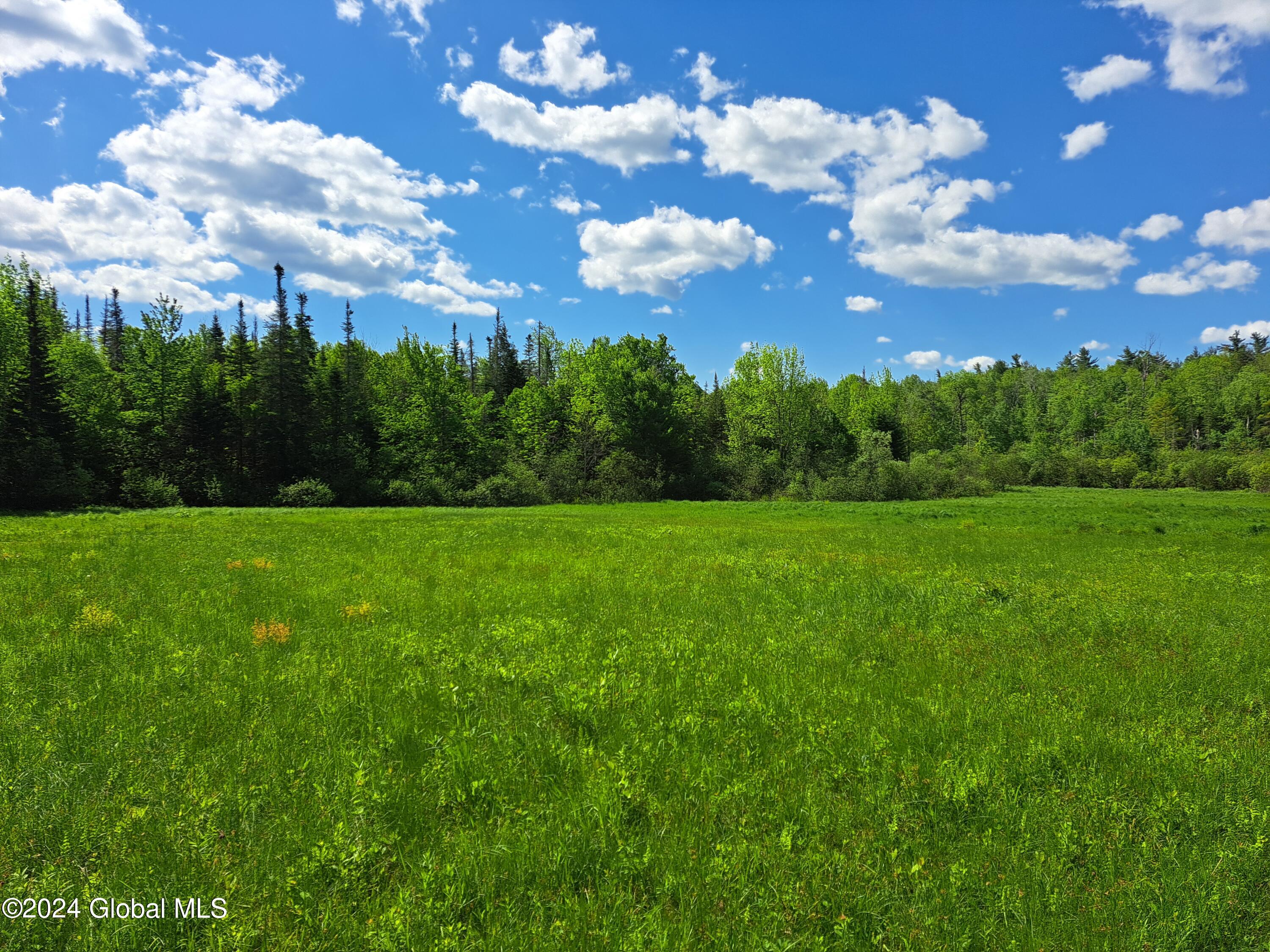 51 Barney Hill Road Johnsburg, NY 12843 - Photo 69 of 108 69 East Pasture