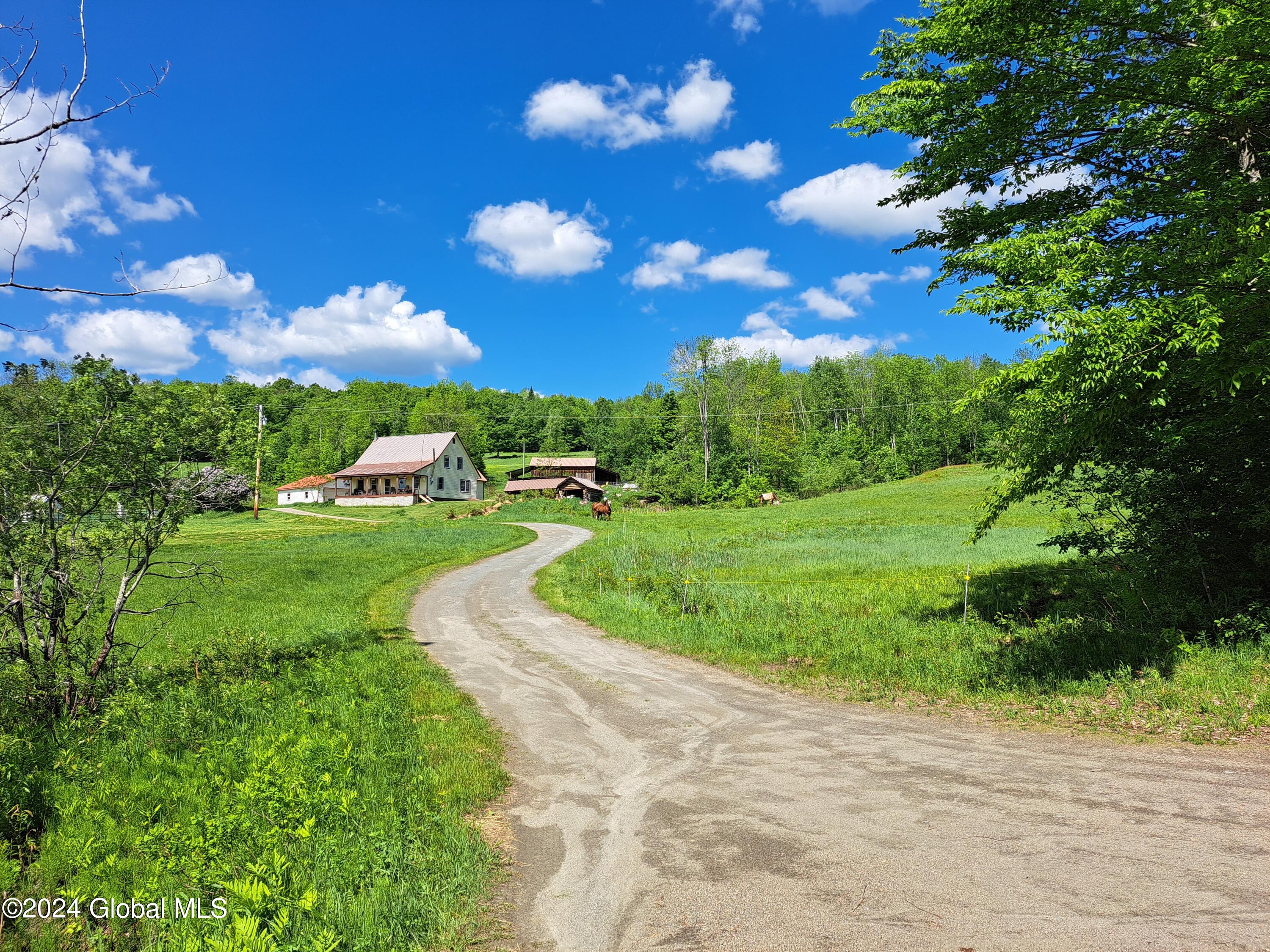 51 Barney Hill Road Johnsburg, NY 12843 - Photo 72 of 108 72 From Barney Hill Road