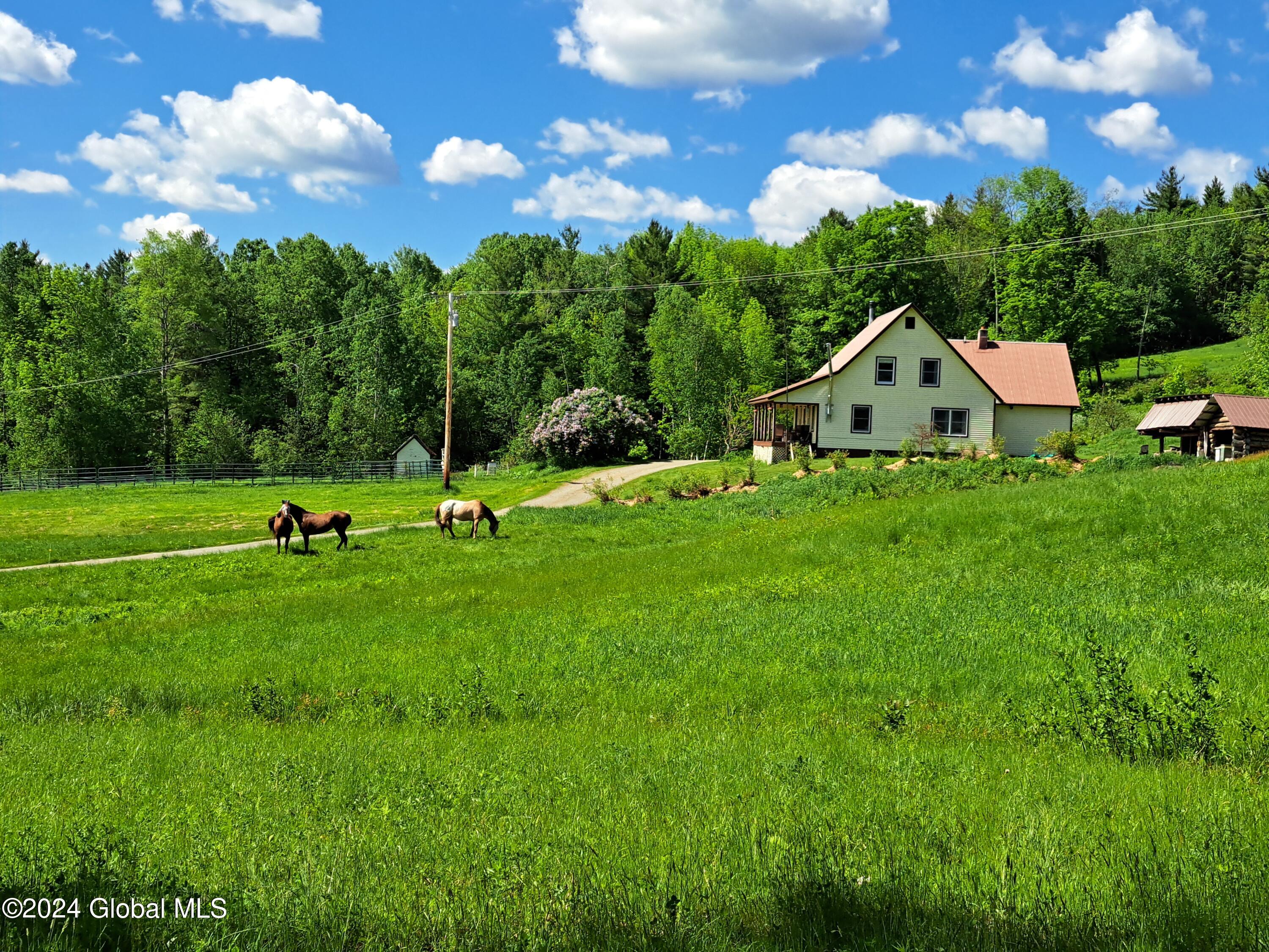 51 Barney Hill Road Johnsburg, NY 12843 - Photo 73 of 108 73 Horses, Pasture and Homestead