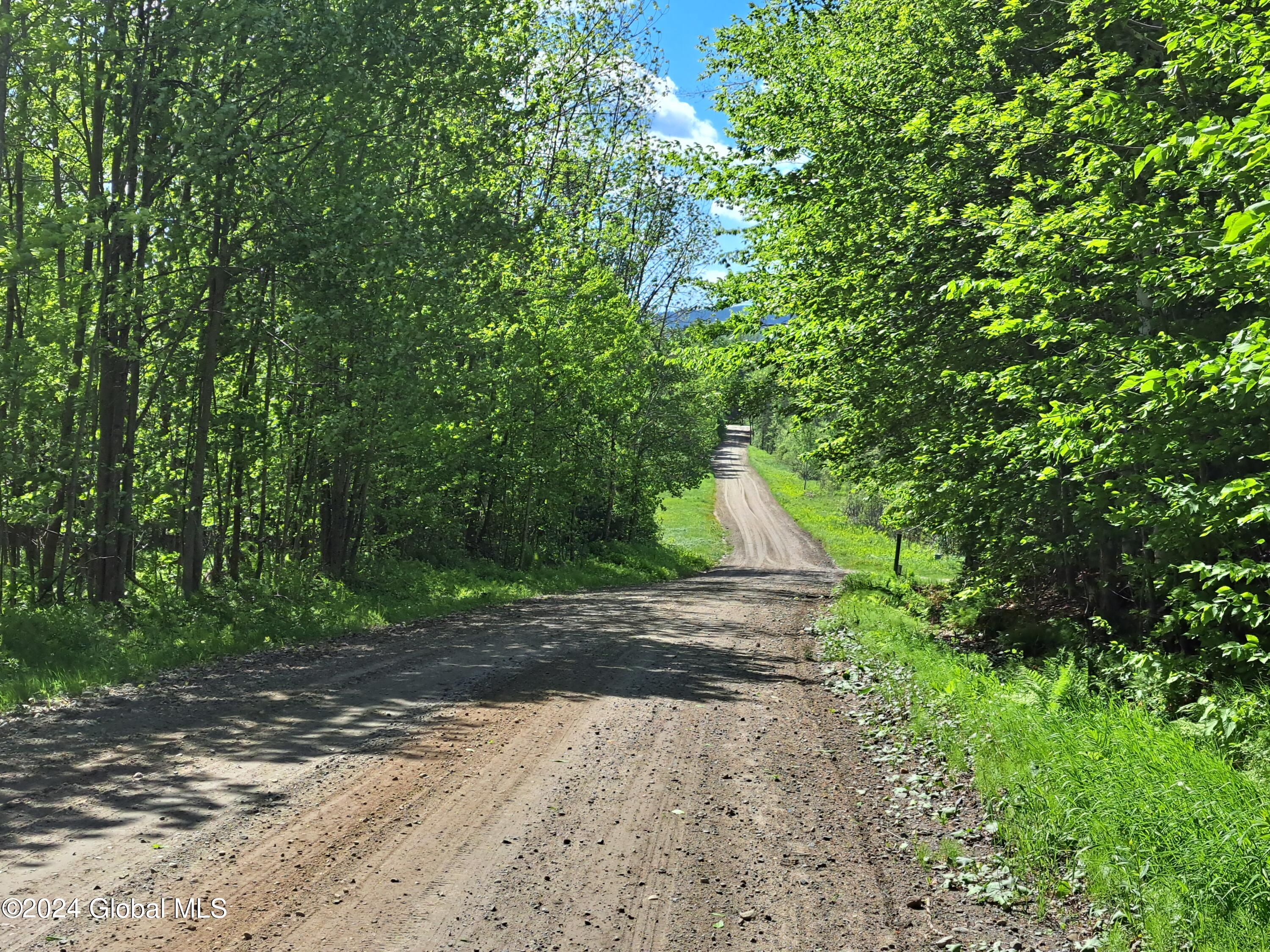 51 Barney Hill Road Johnsburg, NY 12843 - Photo 74 of 108 74 Barney Hill Road