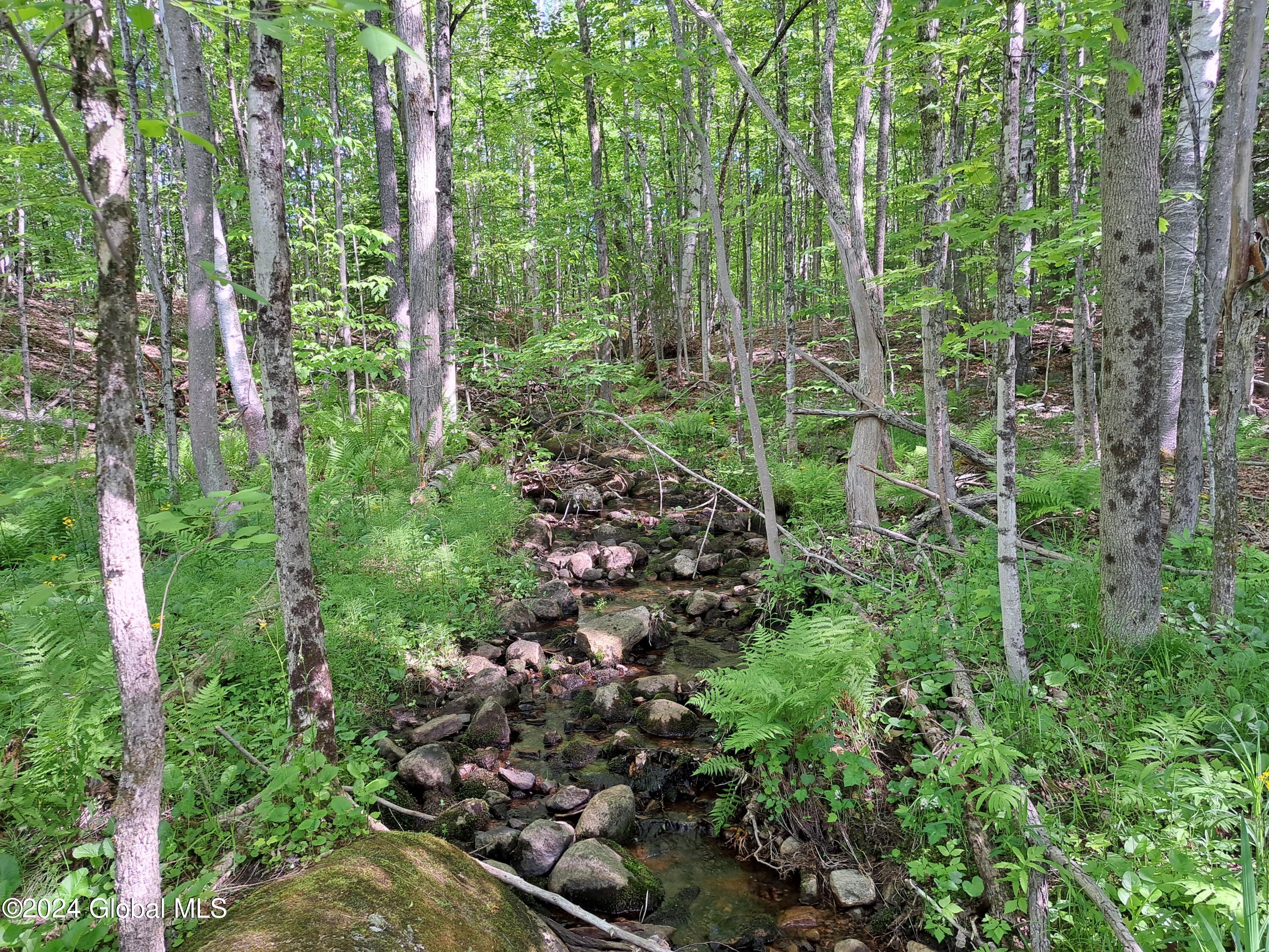 51 Barney Hill Road Johnsburg, NY 12843 - Photo 75 of 108 75 Stream on Parcel 35