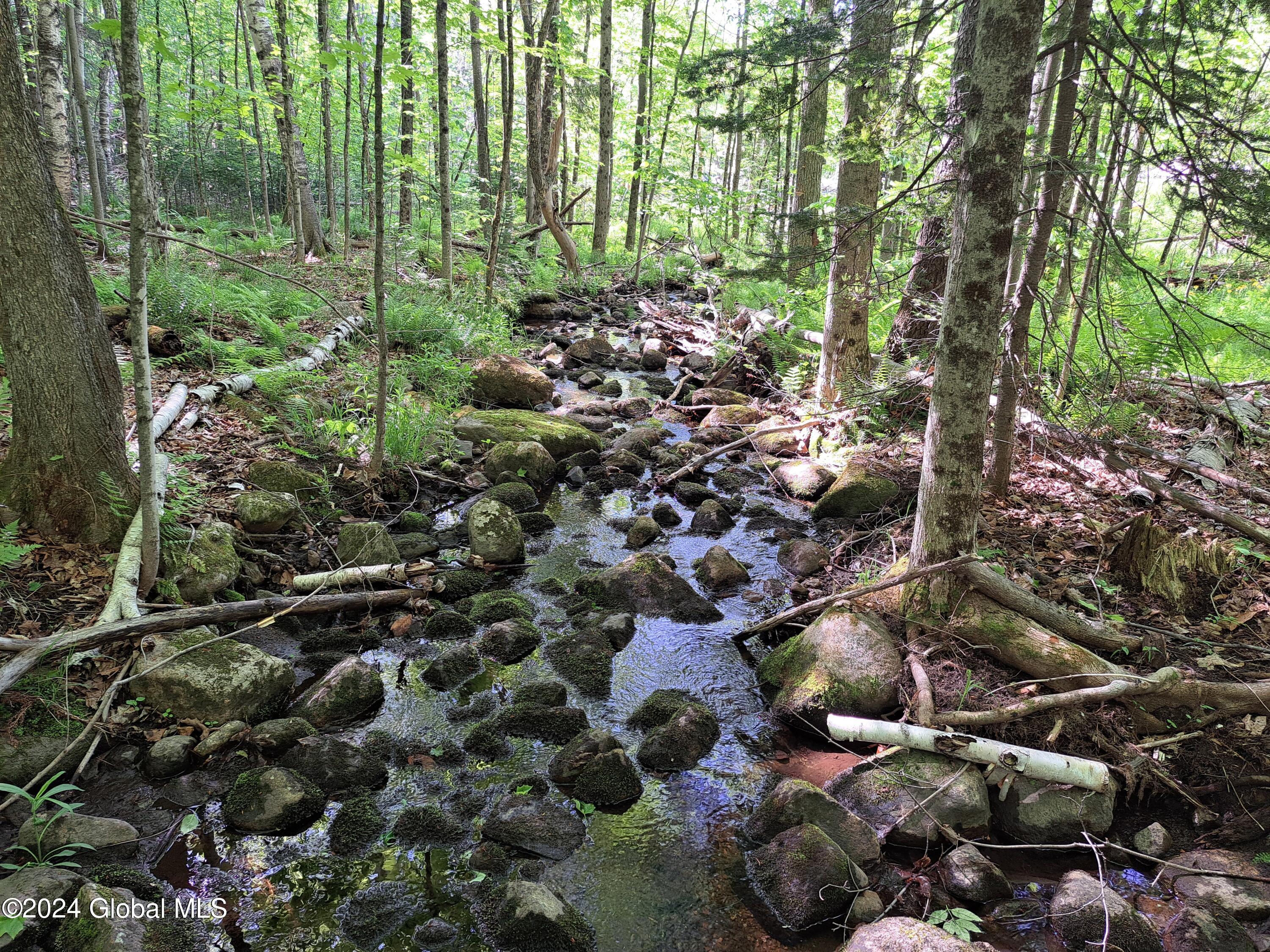 51 Barney Hill Road Johnsburg, NY 12843 - Photo 76 of 108 76 Stream on Parcel 35