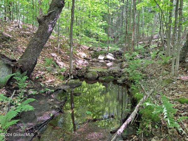 $699,900 | 51 Barney Hill Road, Johnsburg, NY 12843