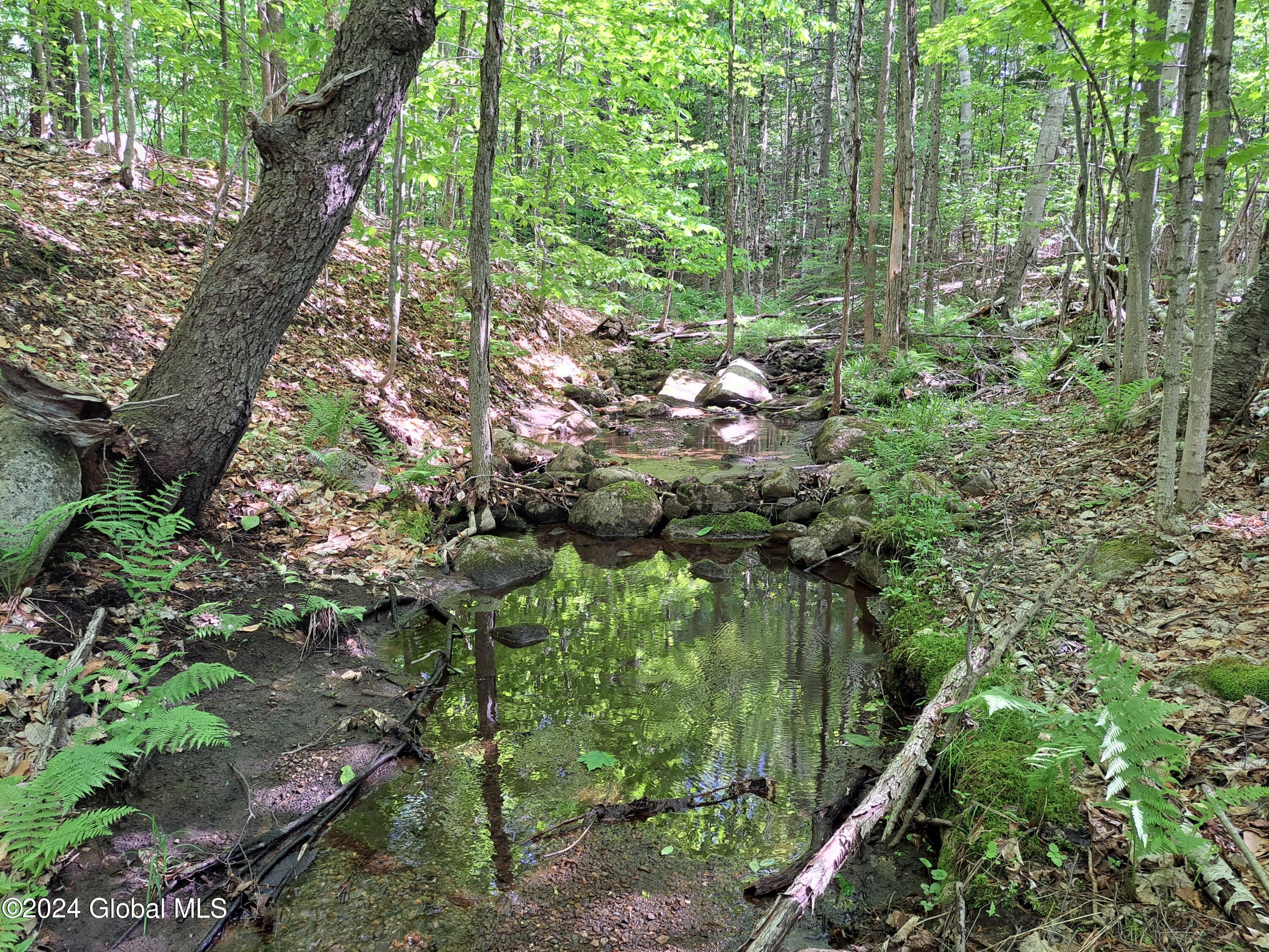 51 Barney Hill Road Johnsburg, NY 12843 - Photo 77 of 108 77 Stream