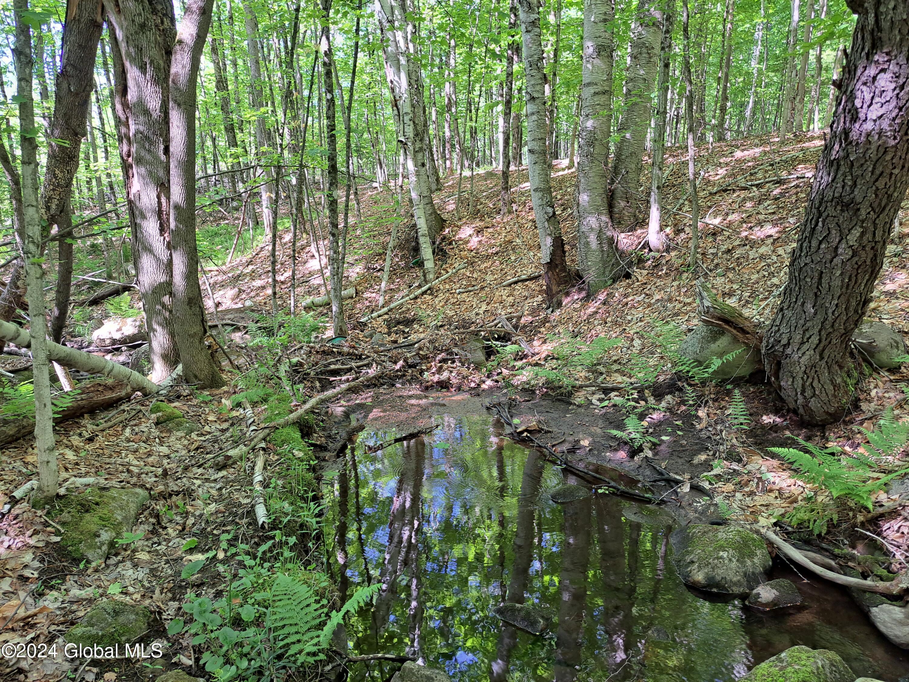 51 Barney Hill Road Johnsburg, NY 12843 - Photo 78 of 108 78 Perennial Stream
