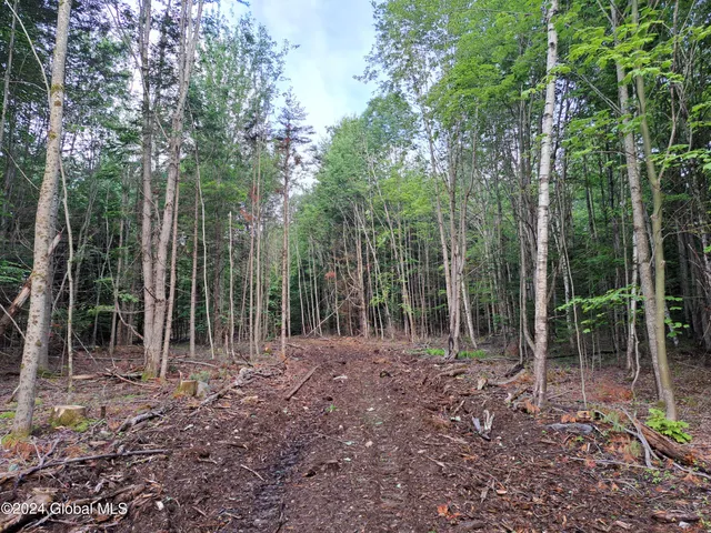 $749,900 | 51 Barney Hill Road, Johnsburg, NY 12843