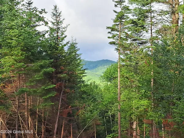 $699,900 | 51 Barney Hill Road, Johnsburg, NY 12843