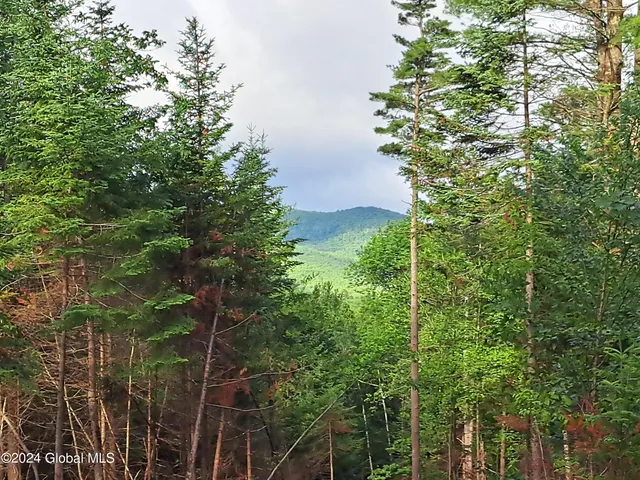 $749,900 | 51 Barney Hill Road, Johnsburg, NY 12843