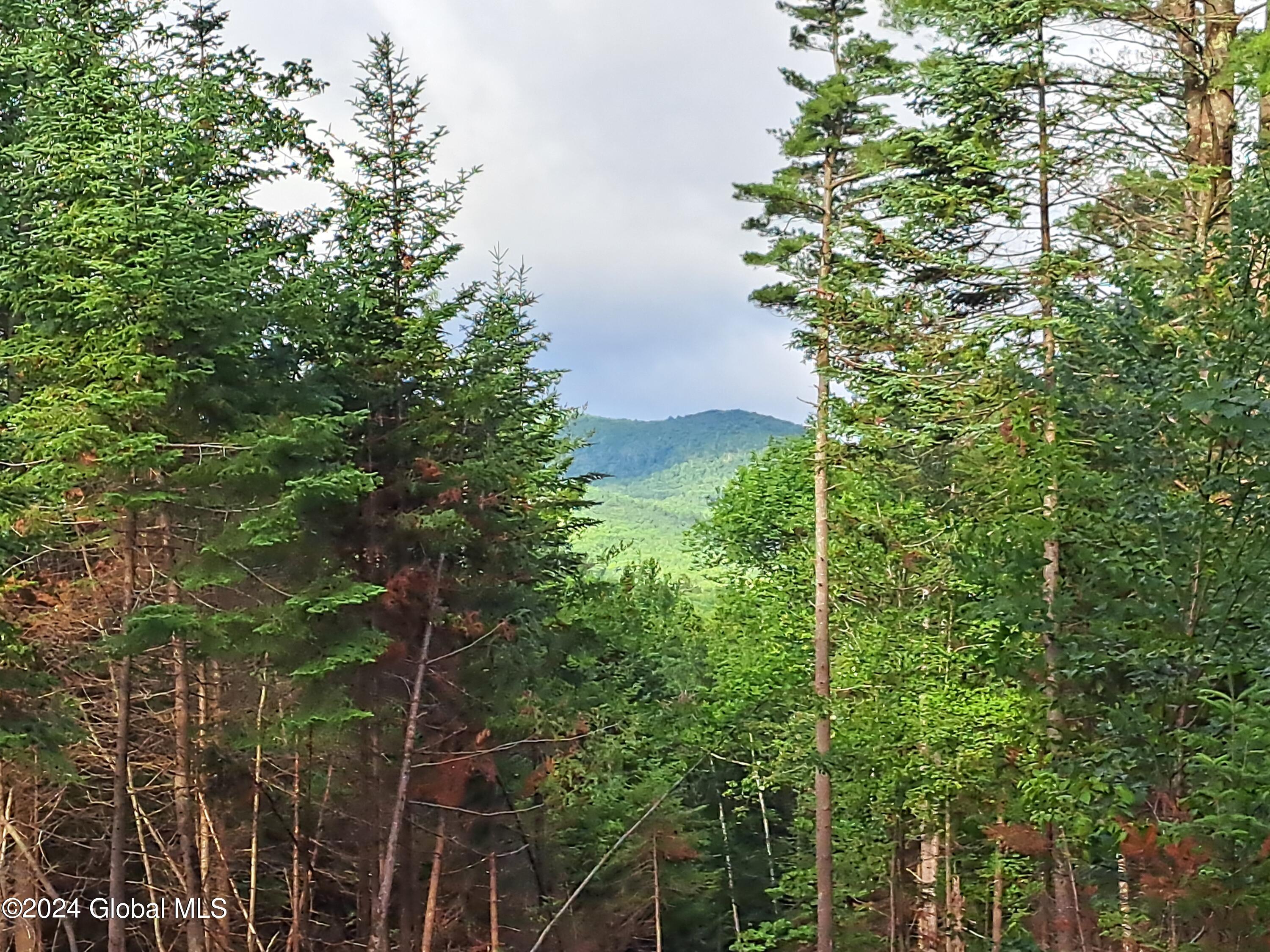 51 Barney Hill Road Johnsburg, NY 12843 - Photo 80 of 108 80 Expandable View of 11th Mountain