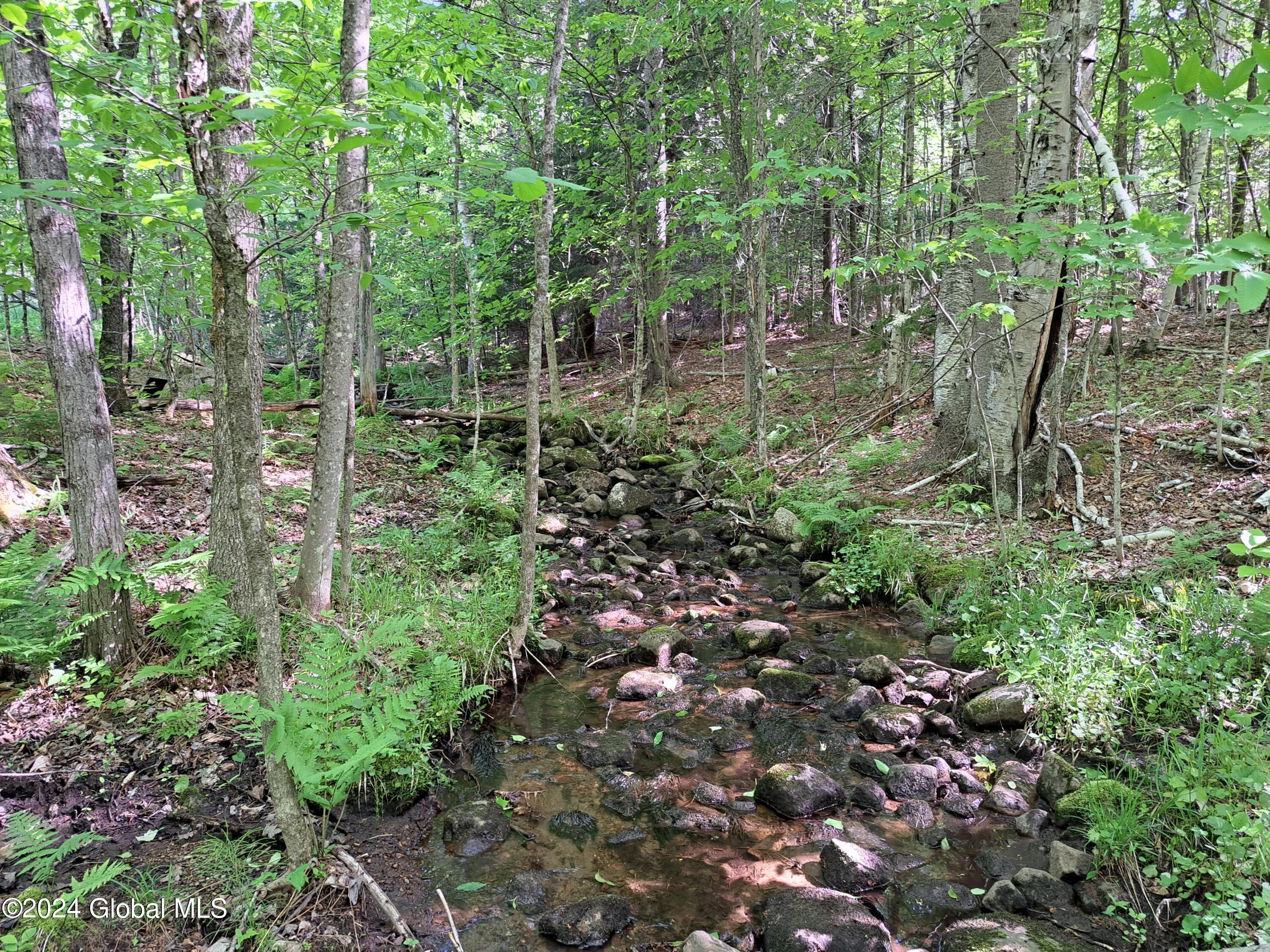 51 Barney Hill Road Johnsburg, NY 12843 - Photo 81 of 108 81 Perennial Stream