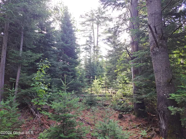 $699,900 | 51 Barney Hill Road, Johnsburg, NY 12843