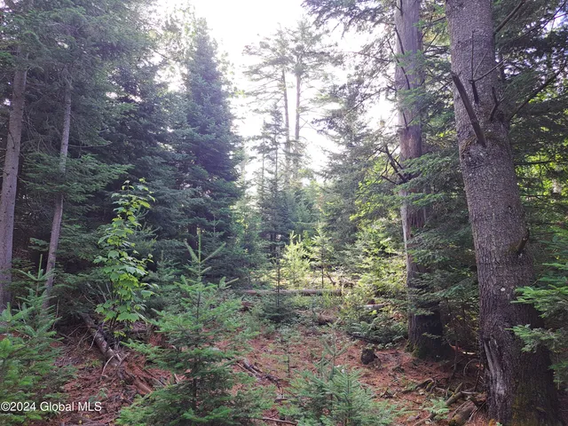 $749,900 | 51 Barney Hill Road, Johnsburg, NY 12843