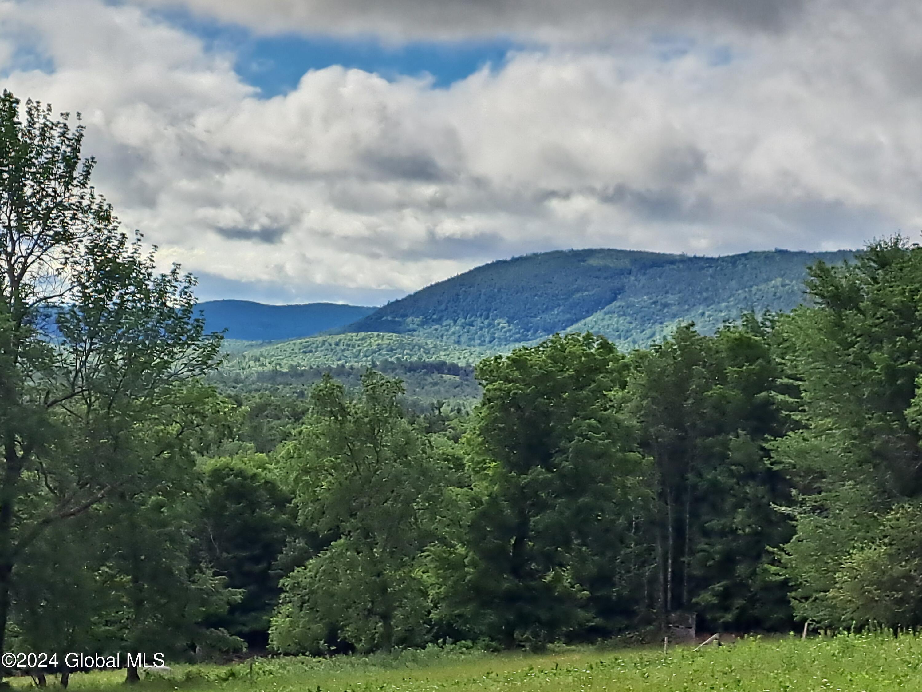 51 Barney Hill Road Johnsburg, NY 12843 - Photo 86 of 108 86 Mountain View from Upper Pasture