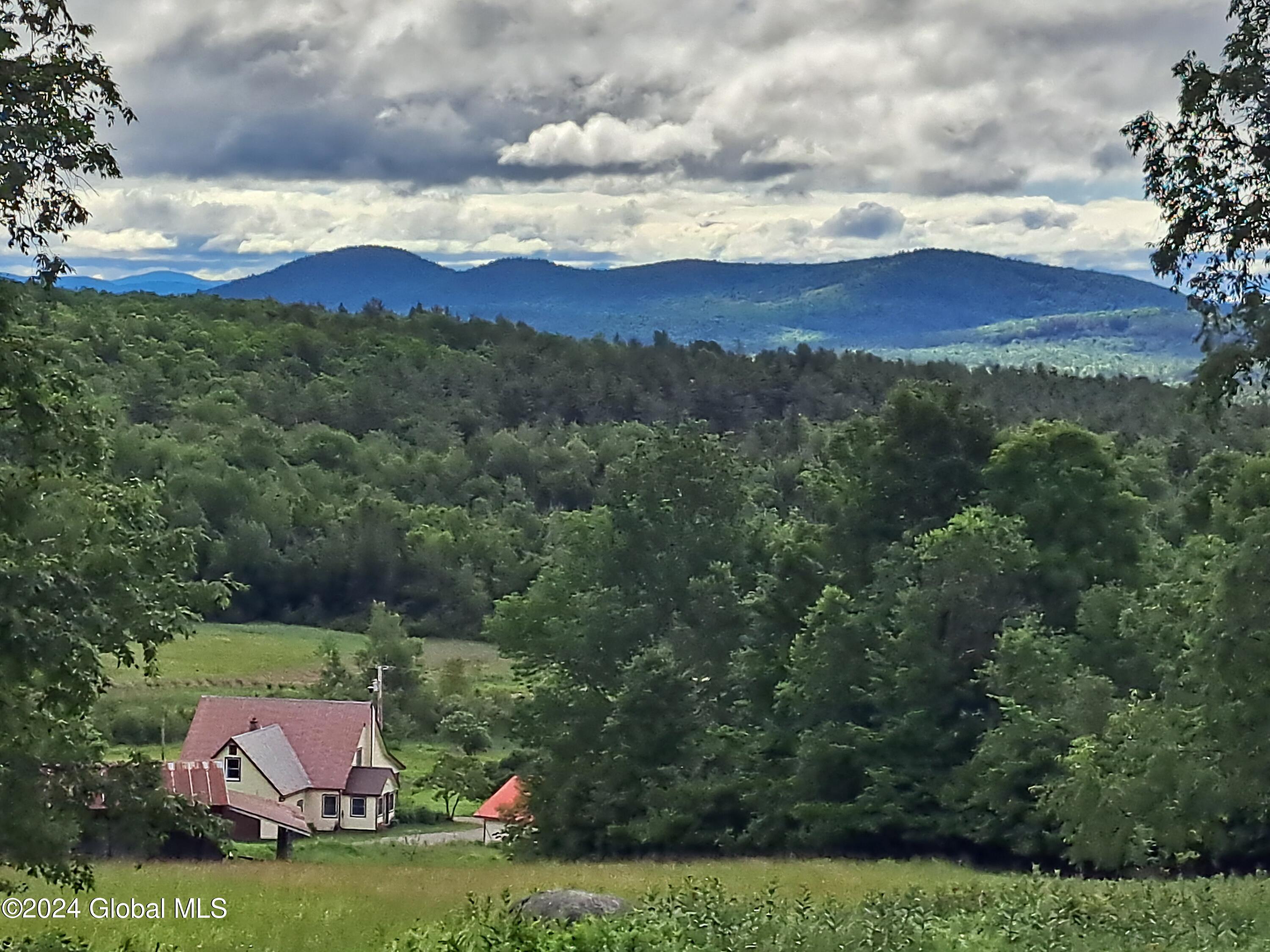 51 Barney Hill Road Johnsburg, NY 12843 - Photo 88 of 108 88 Upper Pasture