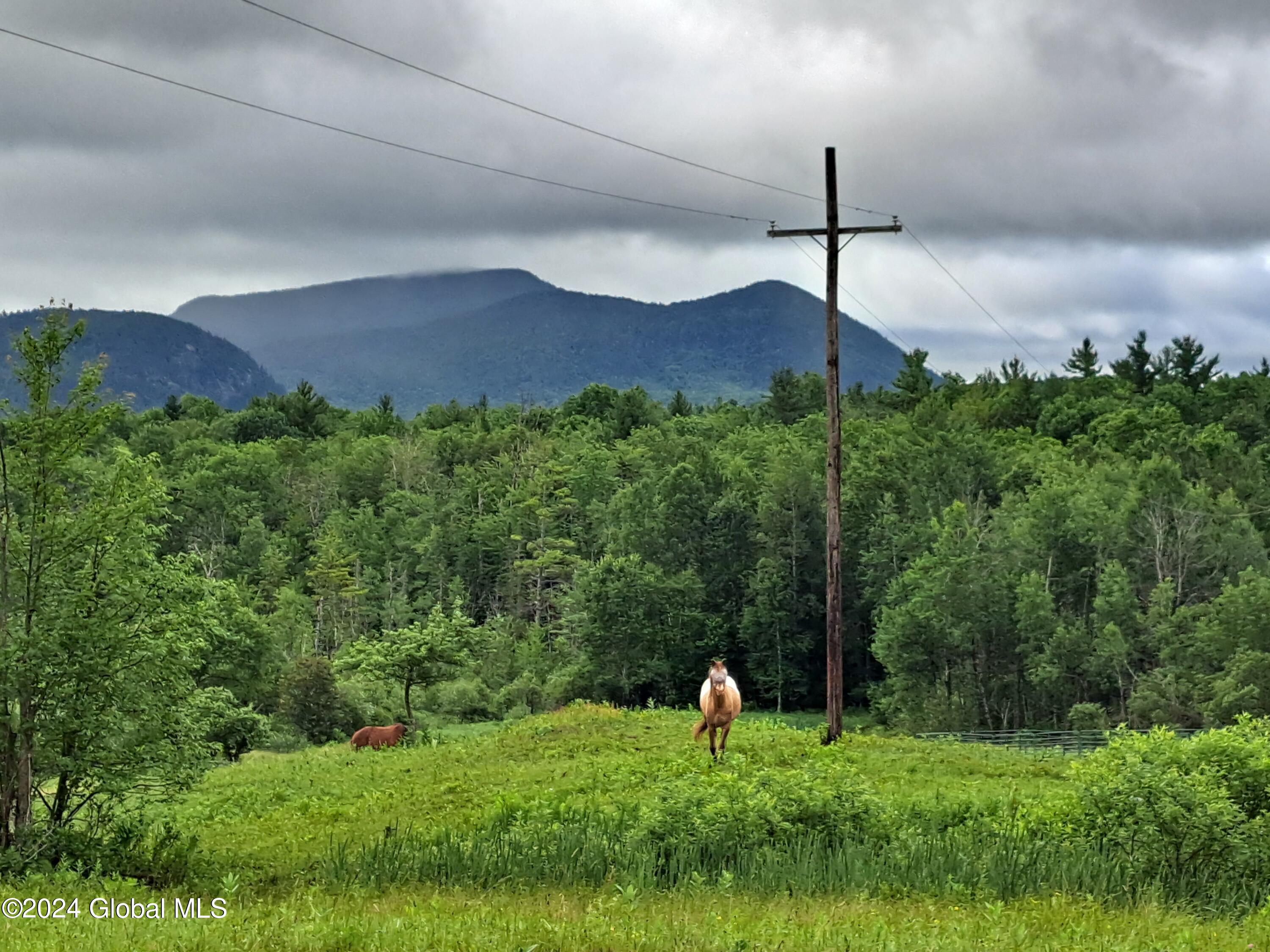 51 Barney Hill Road Johnsburg, NY 12843 - Photo 89 of 108 89 Crane Mountain