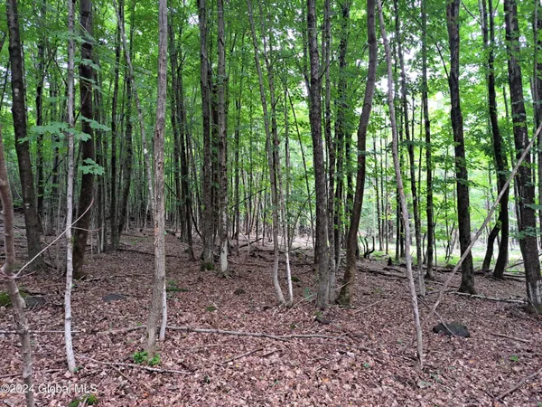 $699,900 | 51 Barney Hill Road, Johnsburg, NY 12843